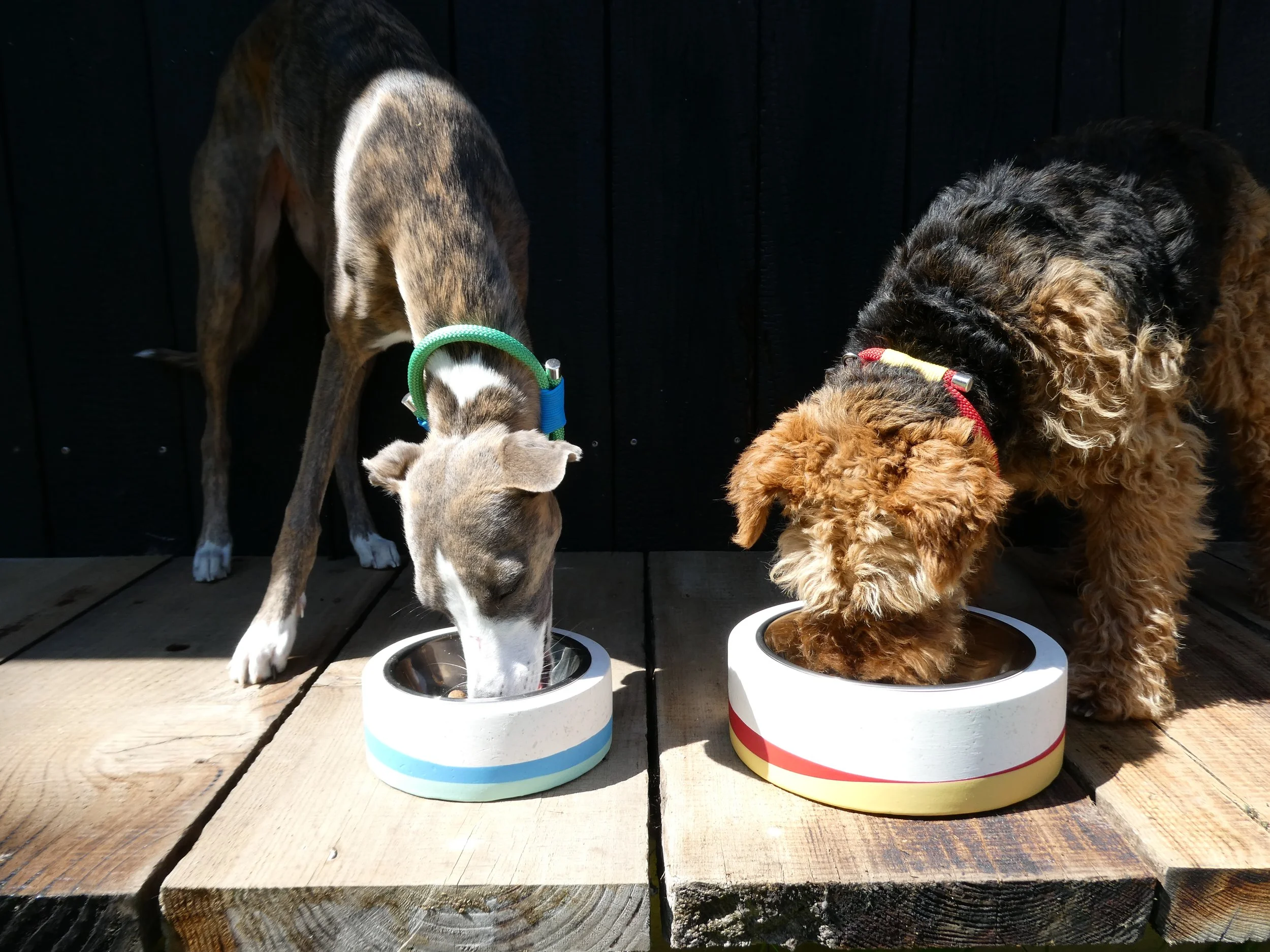 Aubrey's X BowWow House  - Bowl & Collar