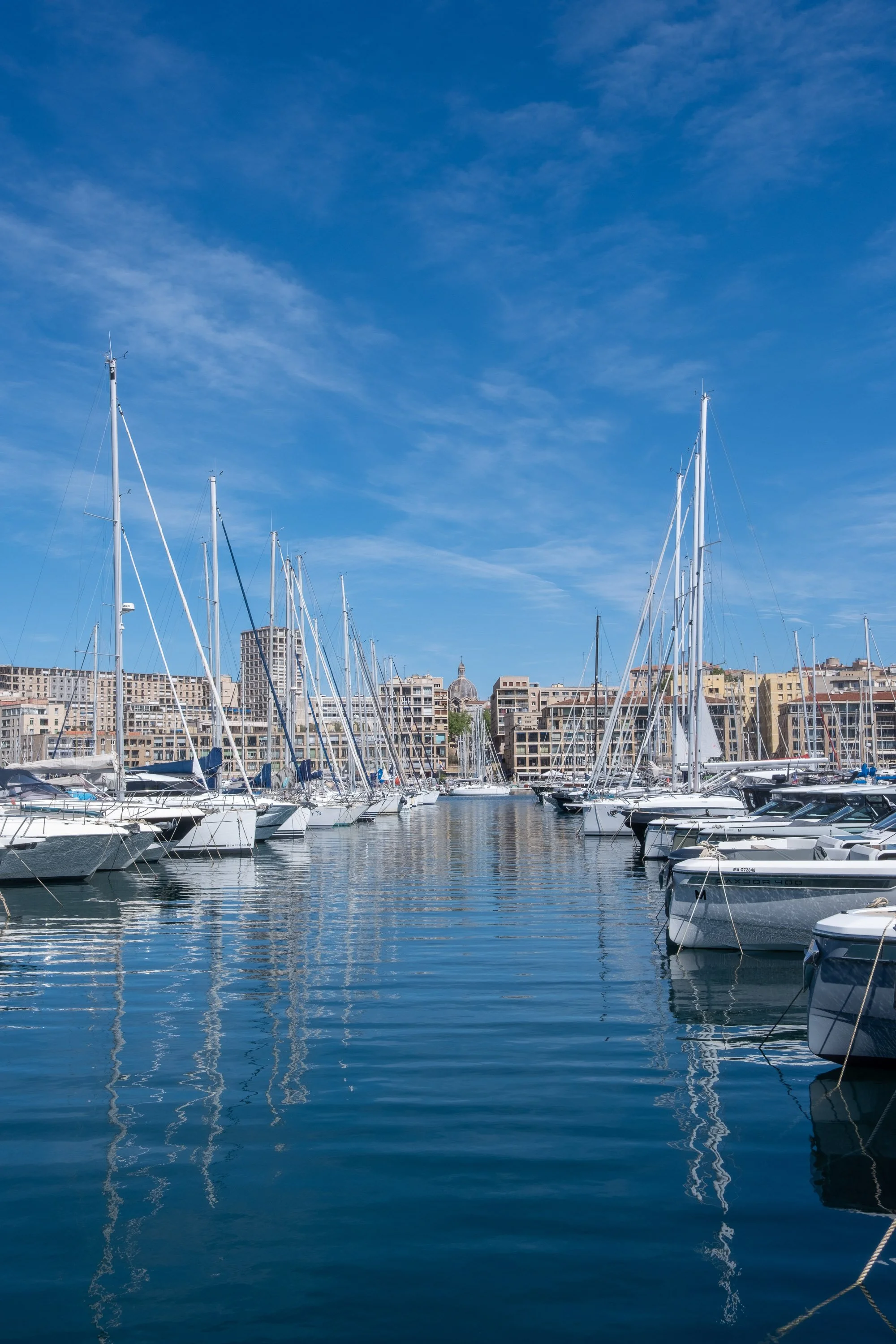 A marina filled with sailboats and yachts docked along the calm water, with a city skyline of modern buildings and a dome-shaped structure in the background under a bright blue sky.