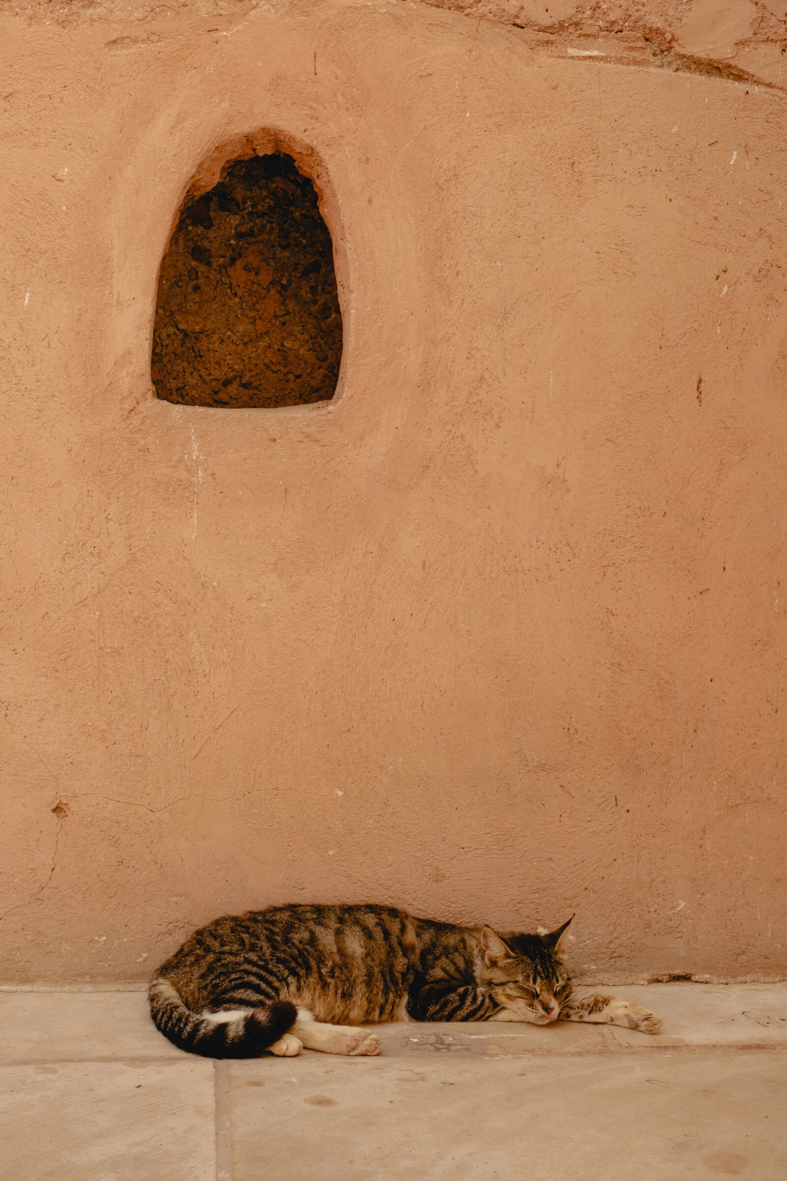 A tabby cat naps against a sun-warmed terracotta wall with a small arched niche above