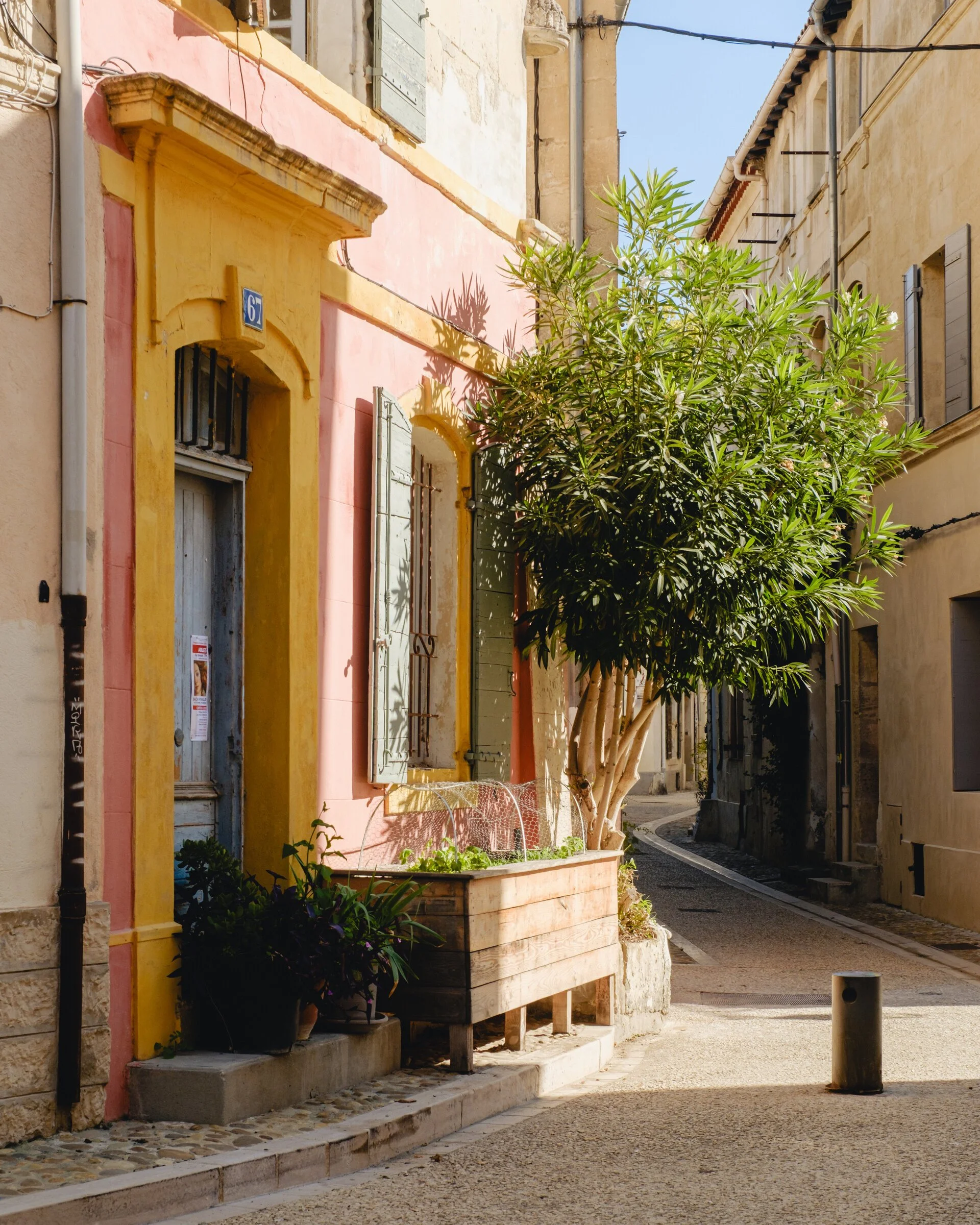 Sunlit ochre and pink building facades line a narrow cobbled lane in Arles, an oleander tree at the corner