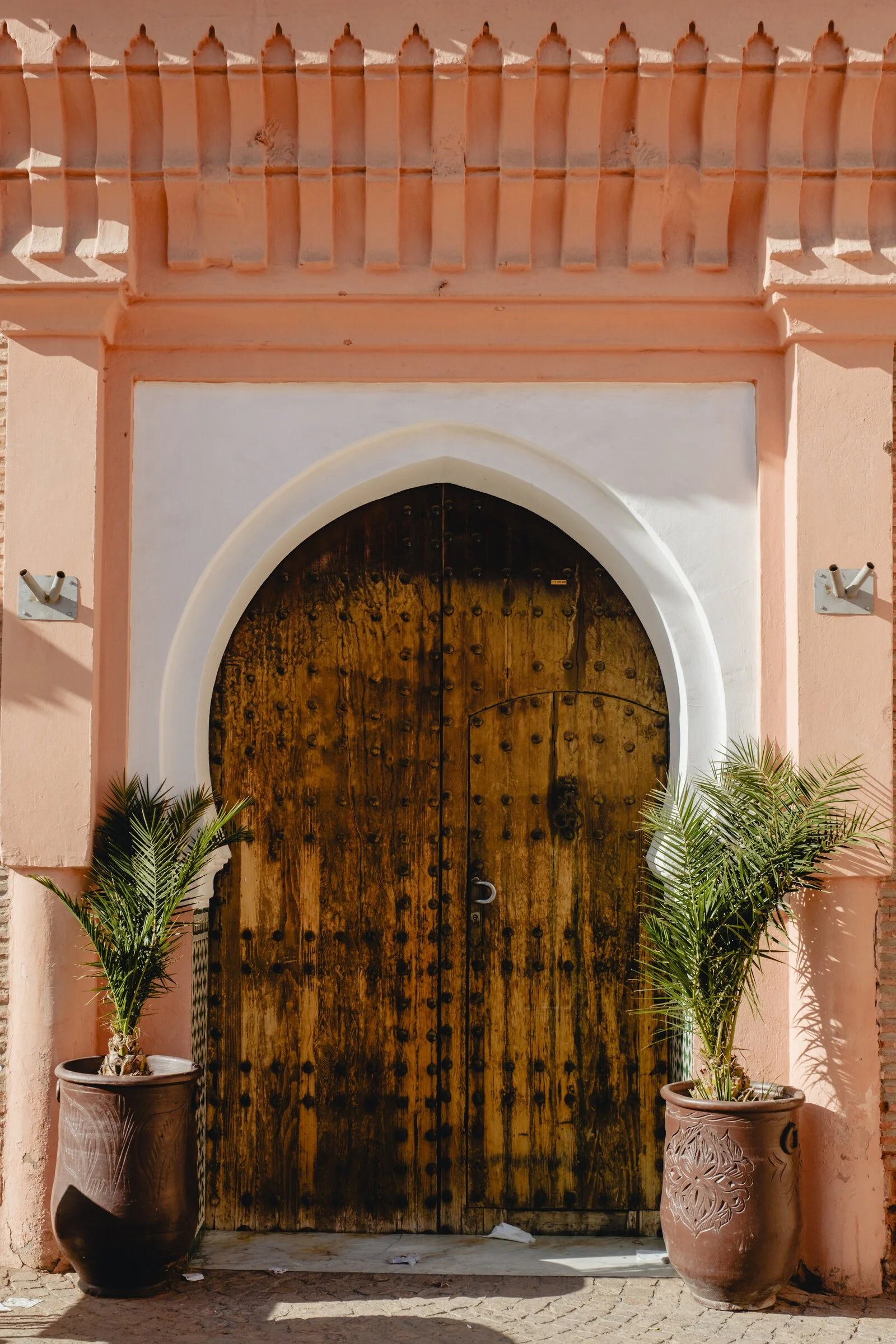 A weathered wooden door flanked by two potted palm trees against a pink wall