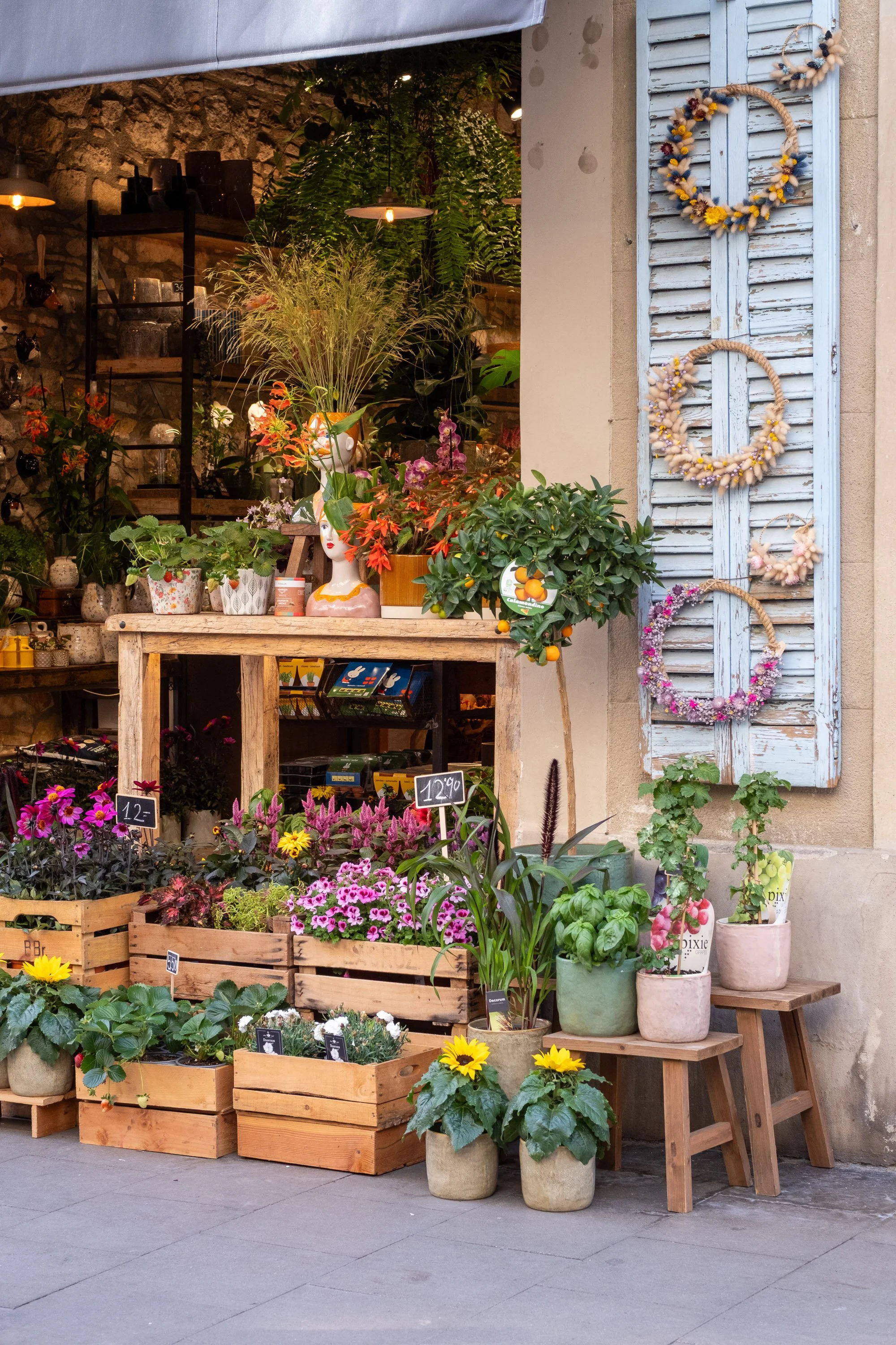 Flower shop display with potted plants, flowers, wooden crates, and decorative wreaths on a blue shutter outside a building.
