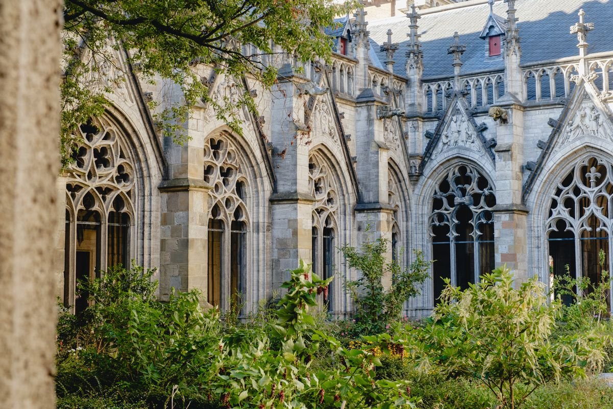 Gothic cloister arches wrapped in greenery at the Dom church