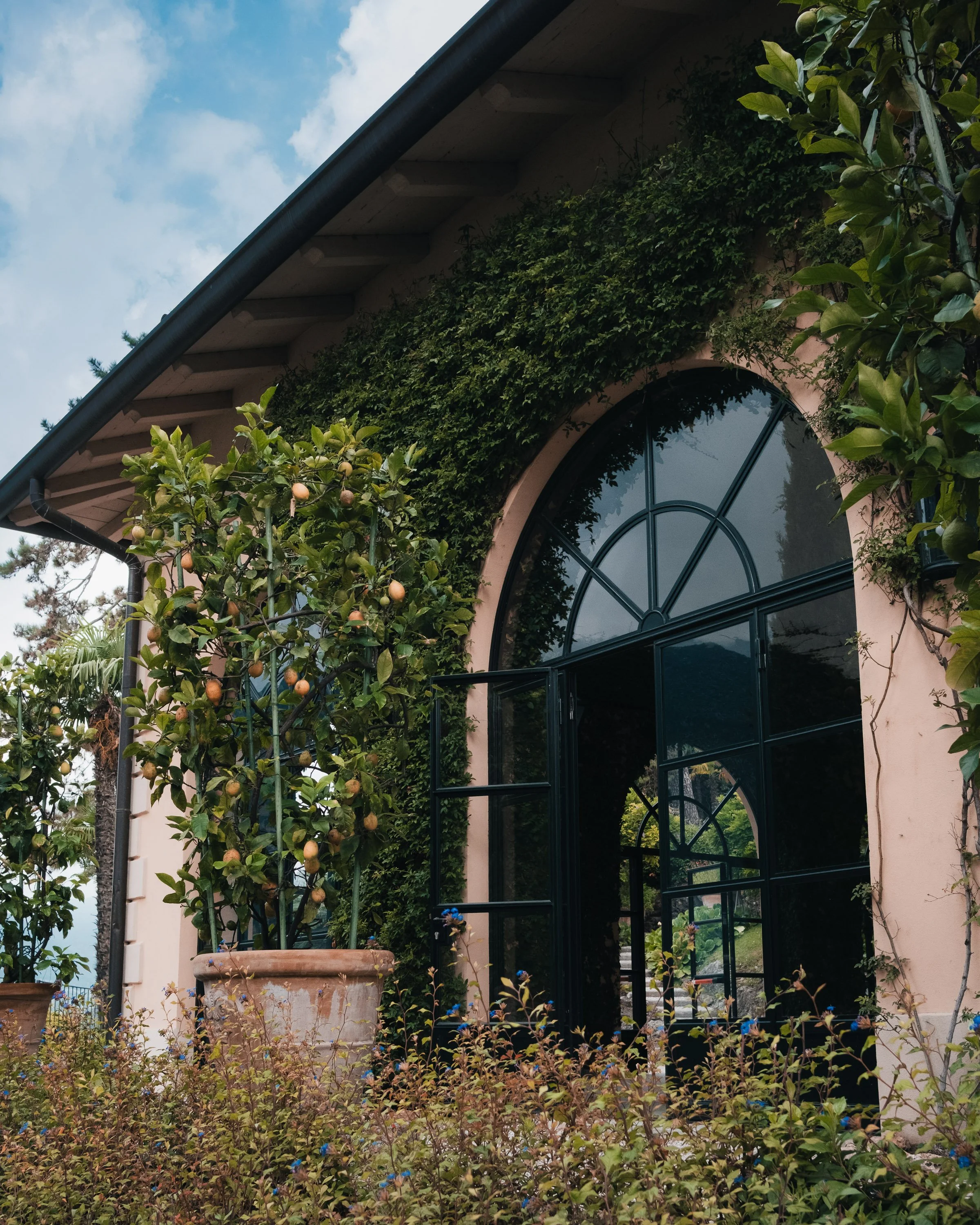 A house with a large arched window, surrounded by green ivy and plants, with a fruit tree in a pot outside.