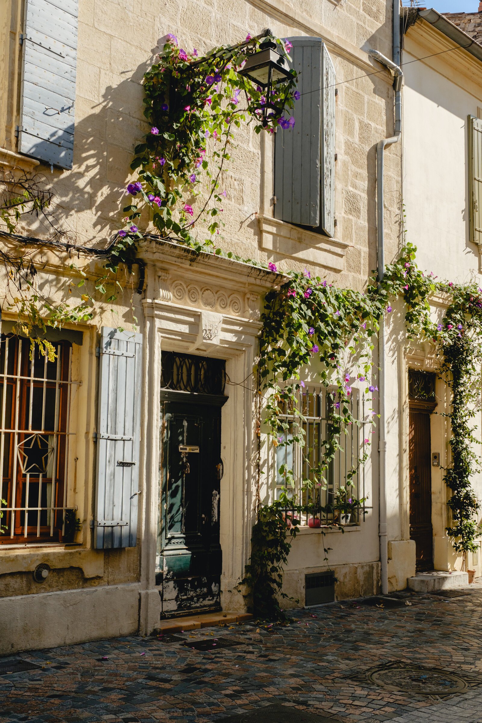 Pink bougainvillea and green vines cascade over a stone doorway and pale shutters on a southern French street