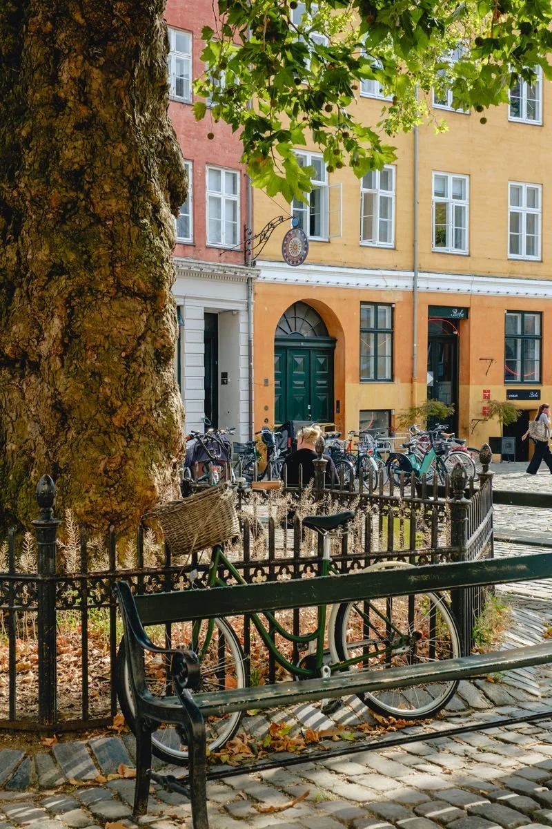 Bicycles parked by a tree and iron fence in a sunny square lined with colorful buildings