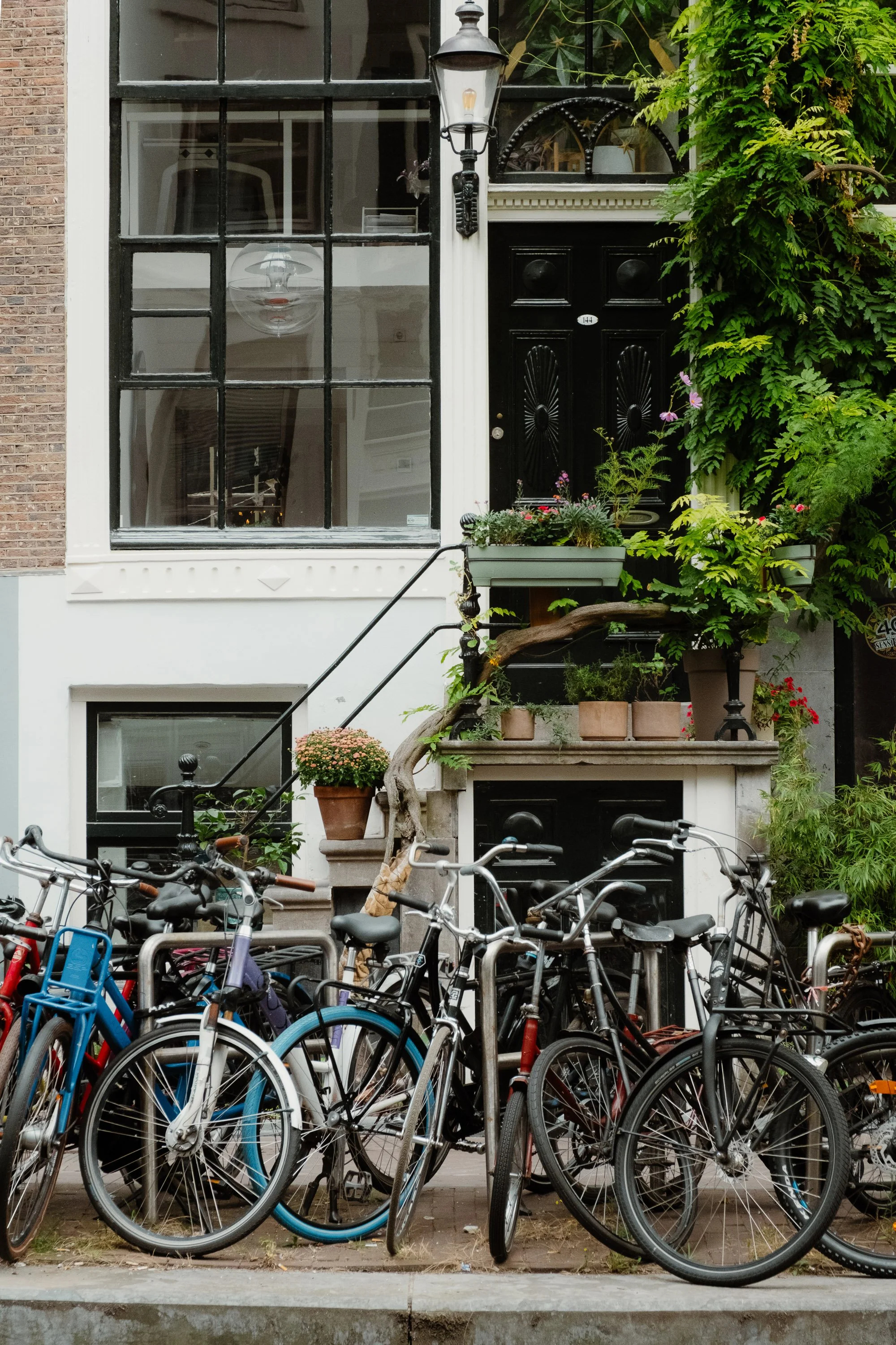 Row of bicycles parked on the sidewalk in front of a Dutch-style house with a black door, large window, and abundant green plants and flowers on the stairs and porch.