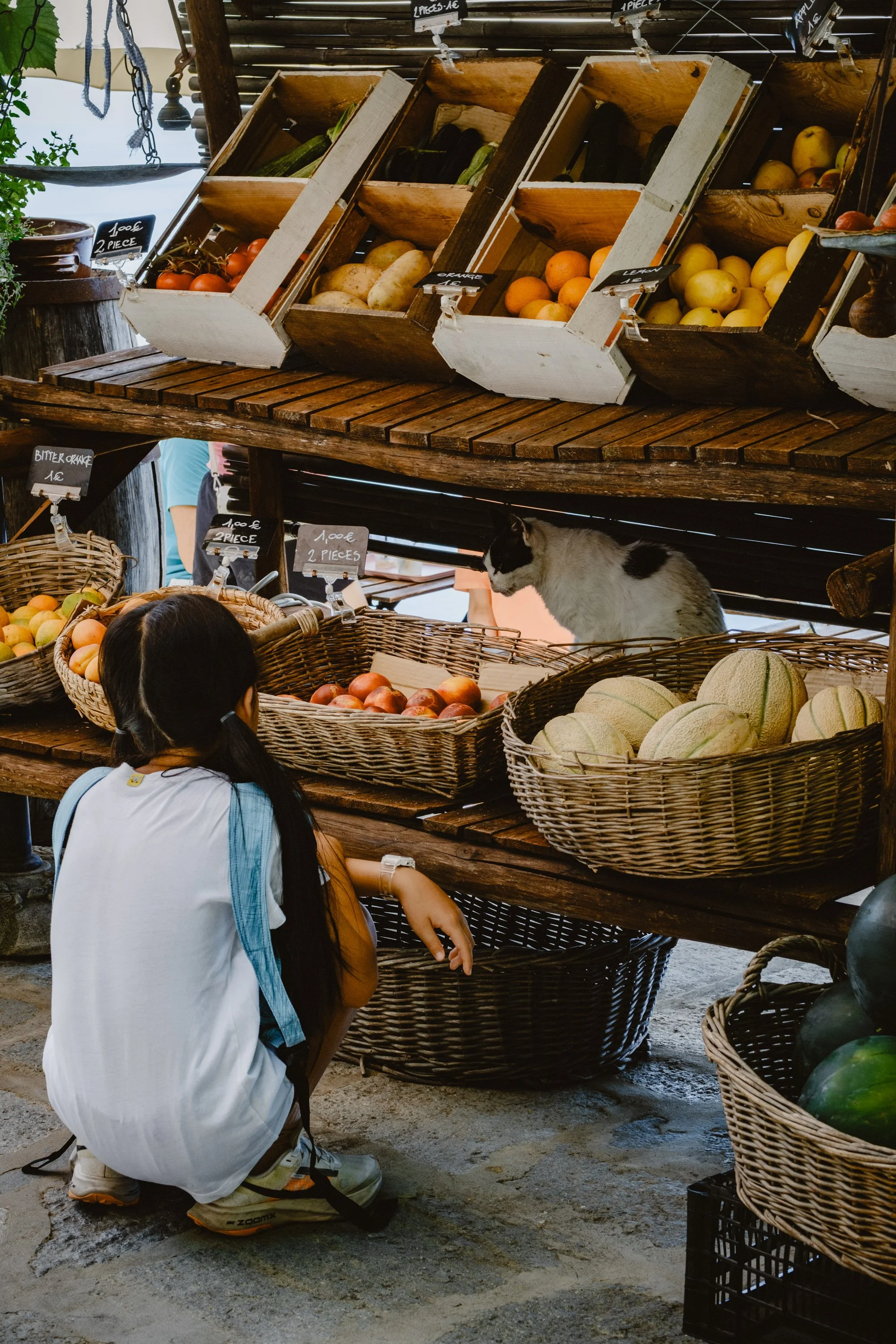 A girl shopping at an outdoor market stand with a black and white cat among baskets of fresh fruit including apples, melons, and citrus.