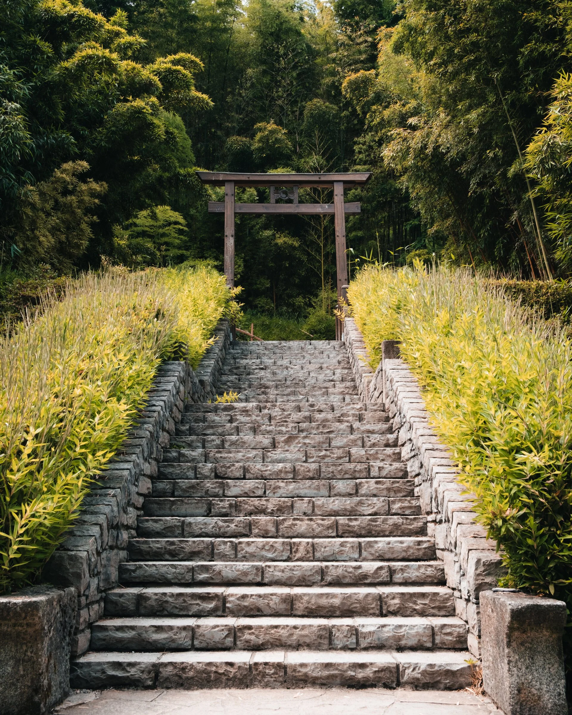 A stone staircase flanked by tall bamboo leads up to a wooden torii-style garden gate