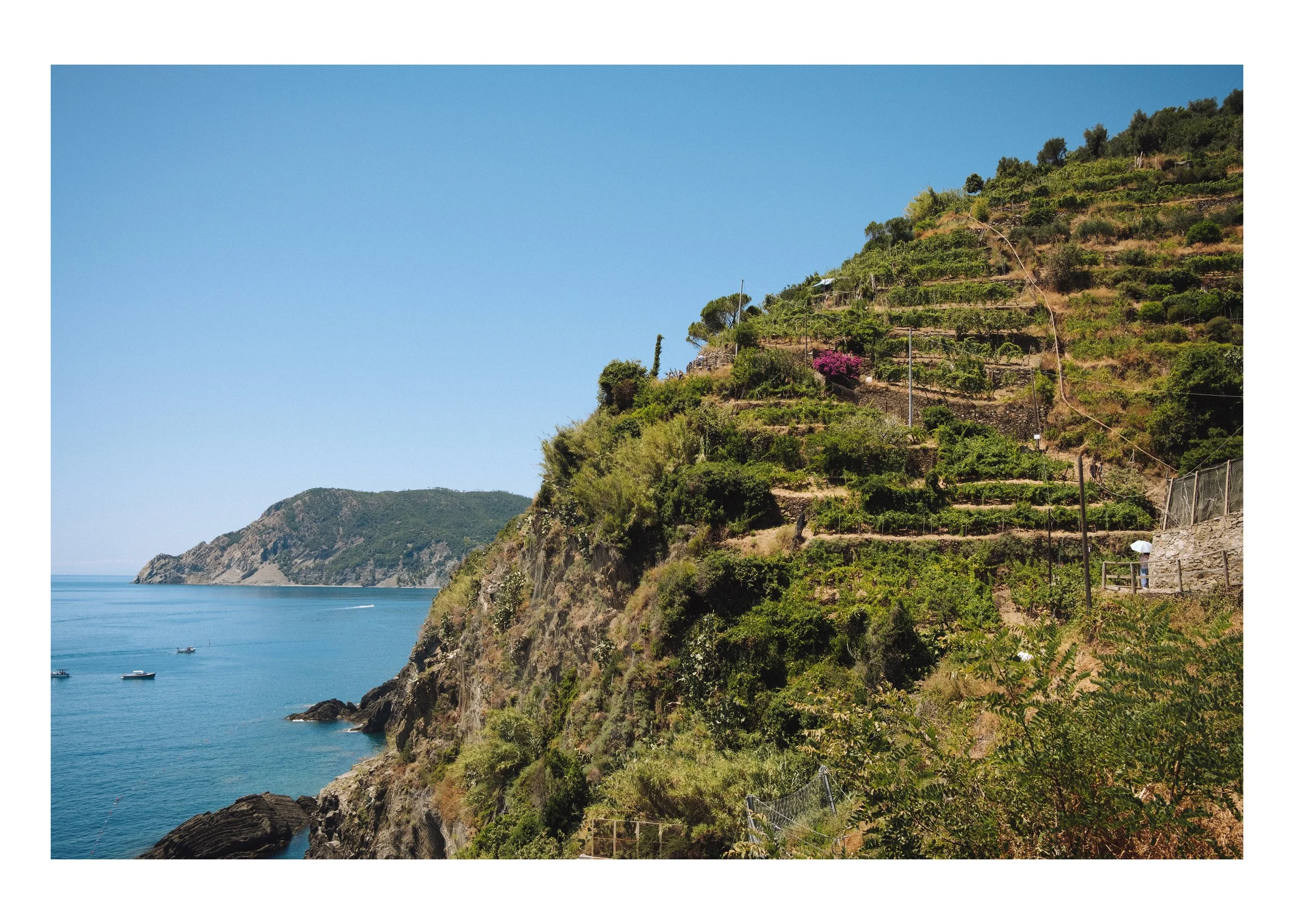 Cinque Terre Terraces