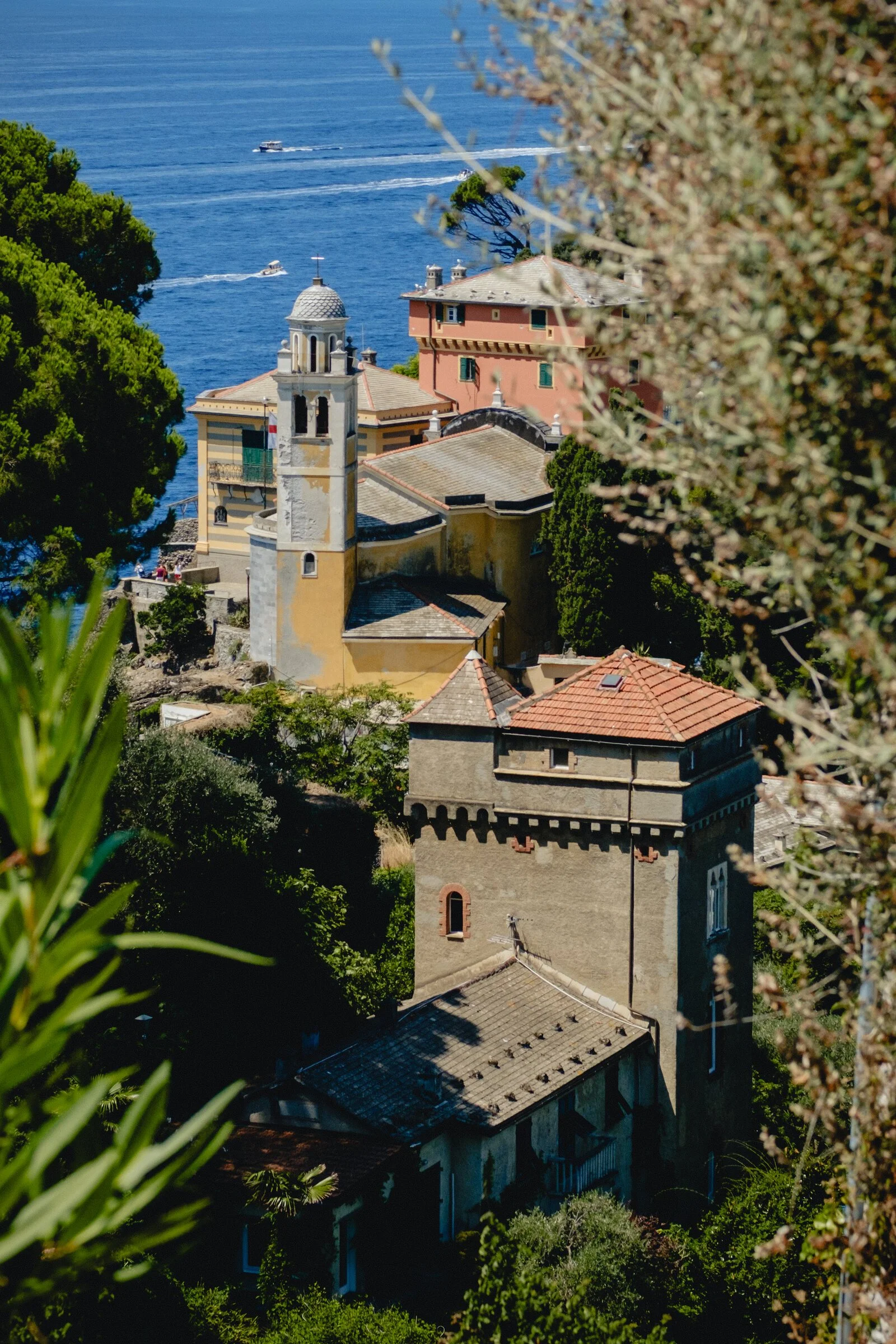Portofino's rooftops seen through trees, a church tower and pink villa above the harbor