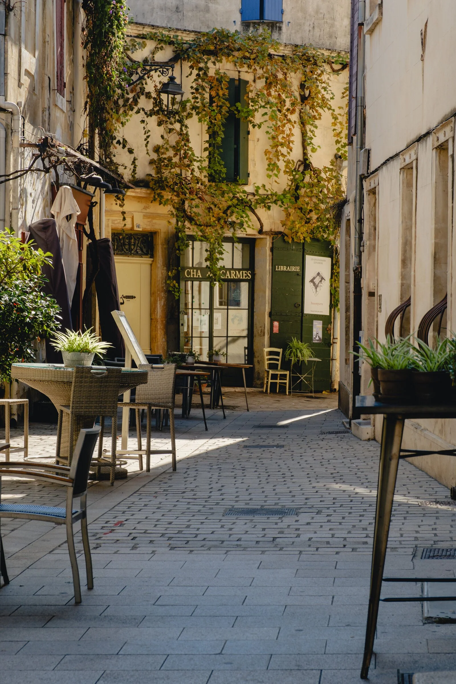 Ivy climbs a stone building above a small bookshop in a narrow, café-lined lane