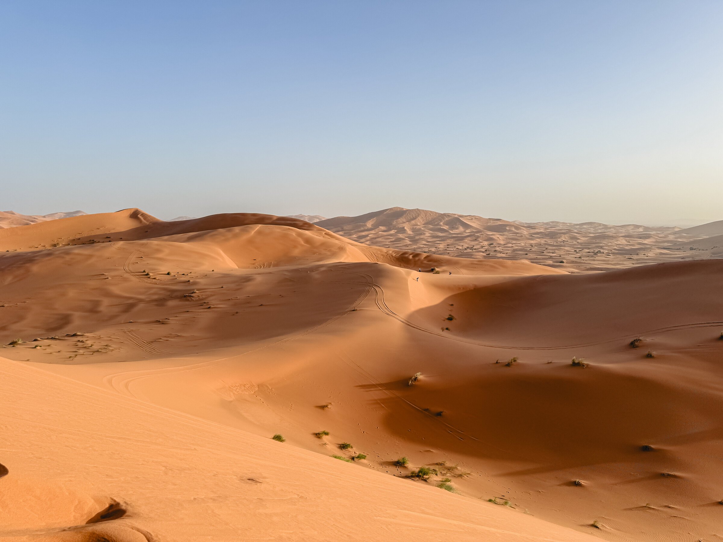 Sweeping Sahara sand dunes roll toward a hazy horizon under a pale sky