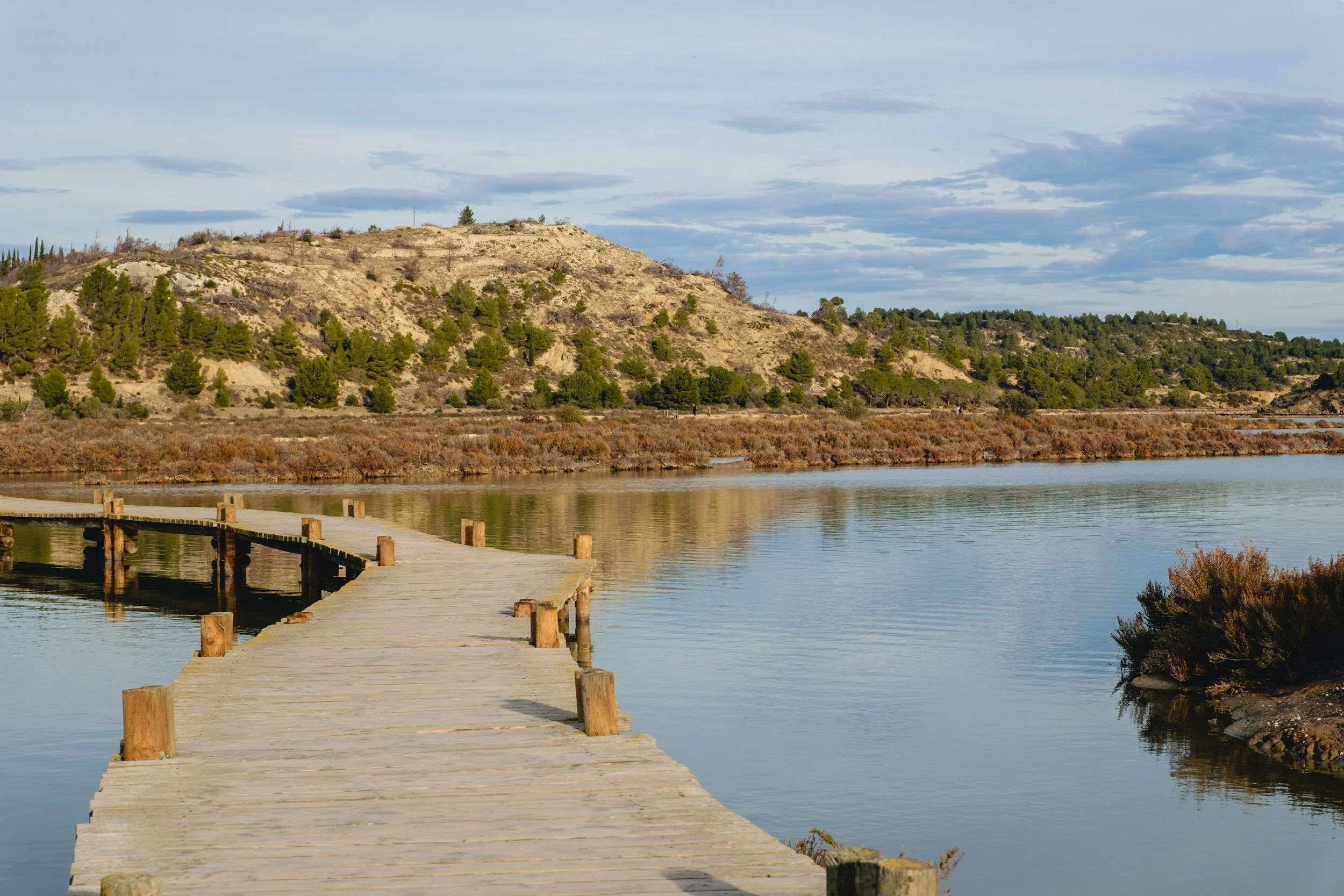 Wooden dock extends into a calm body of water with hills and trees in the background under a cloudy sky.