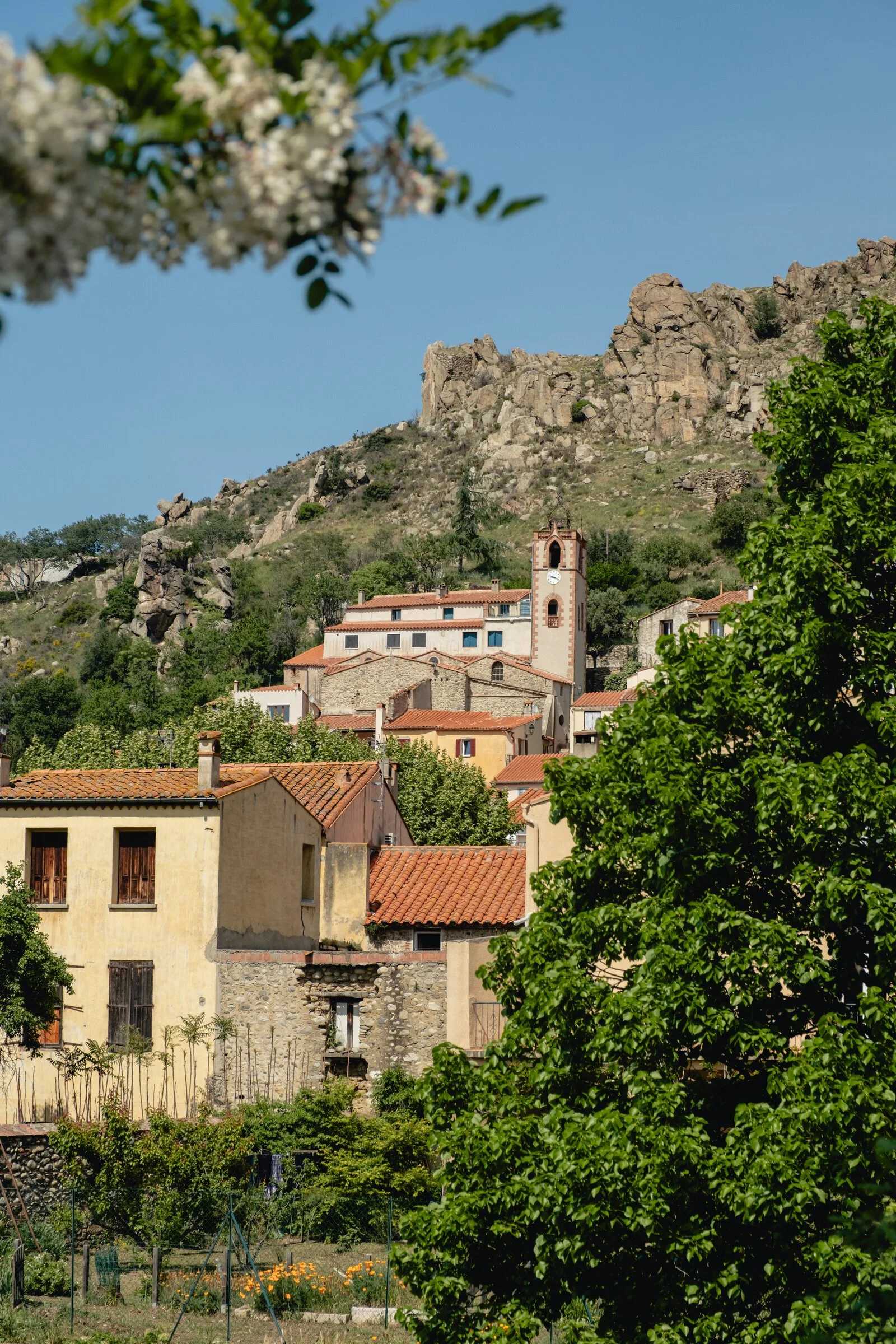 A stone village with a bell tower is terraced into a hillside below jagged rocky peaks, spring blossoms framing the view