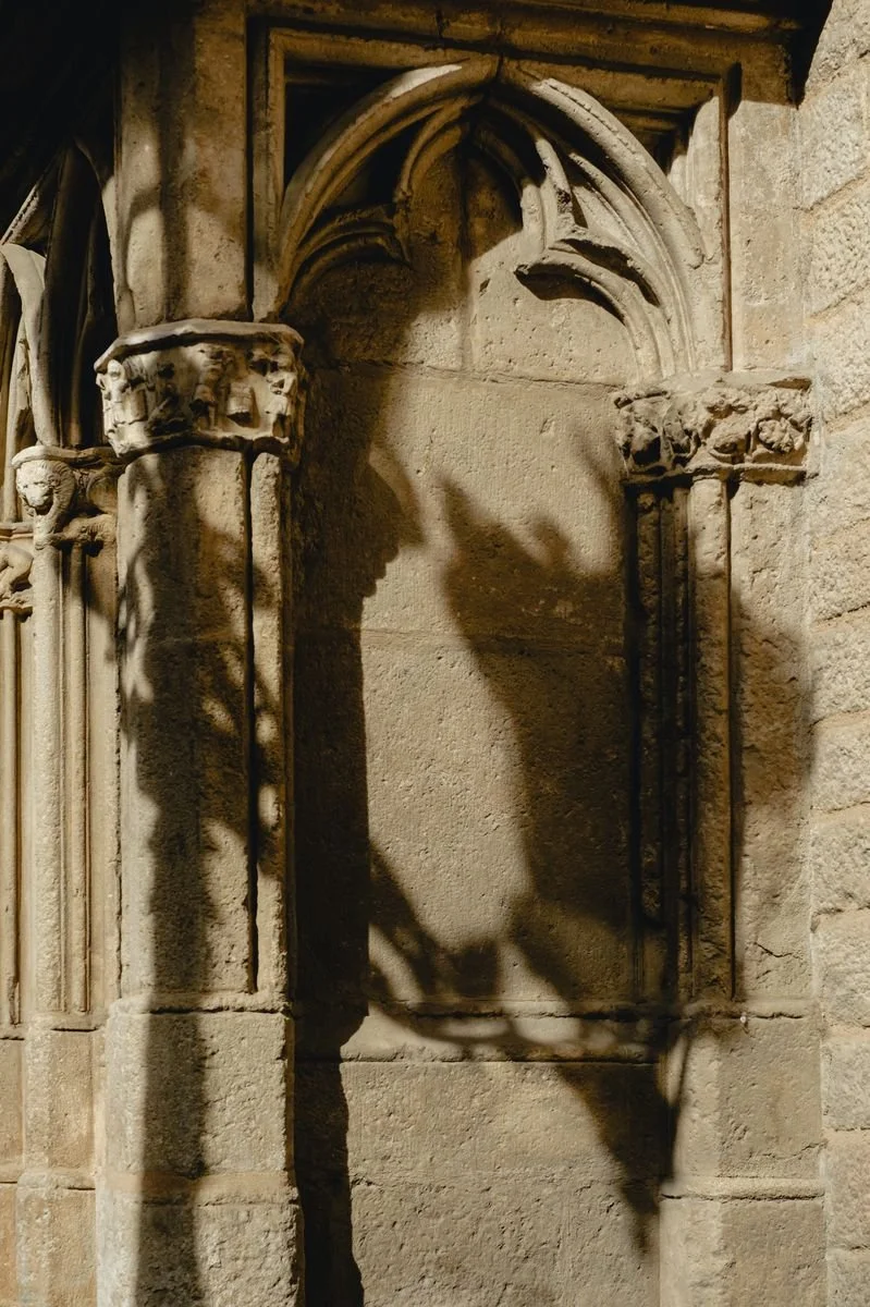 Sunlight casts a tree's shadow across a Gothic cloister archway