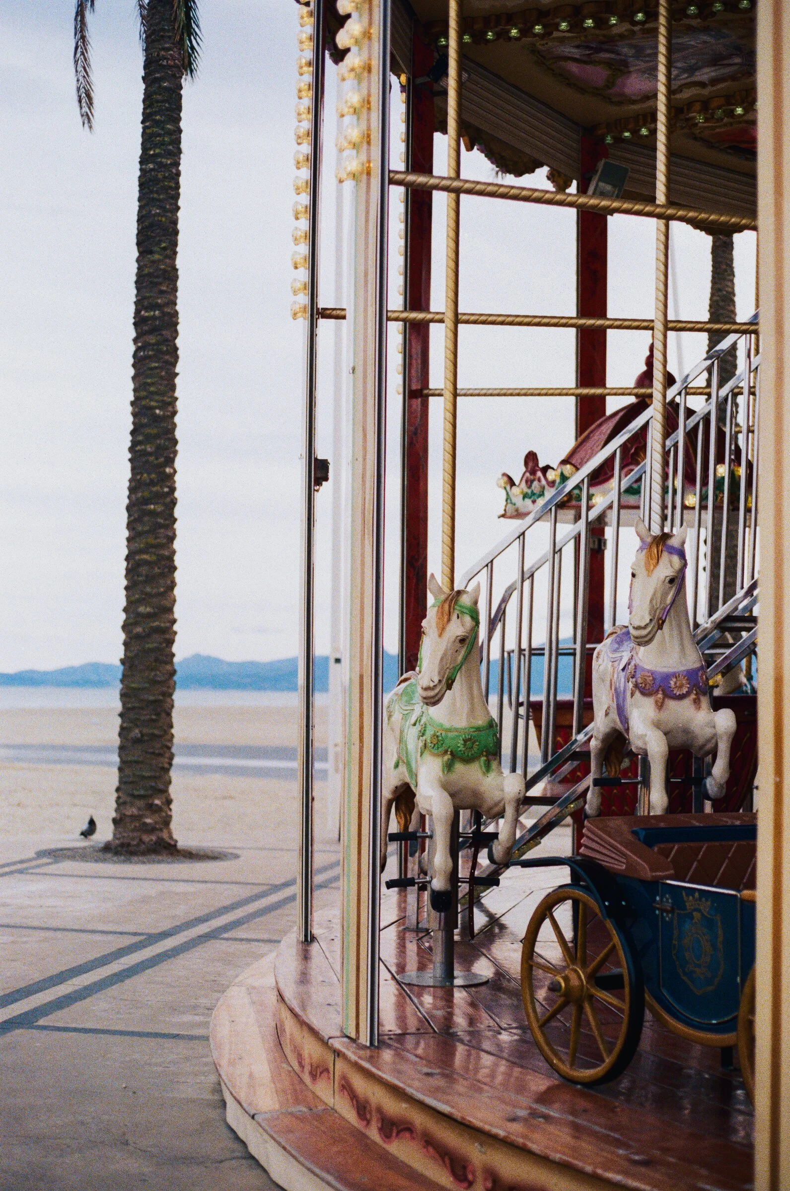 Carved carousel horses stand ready beside a palm tree on the beachfront at Canet-Plage