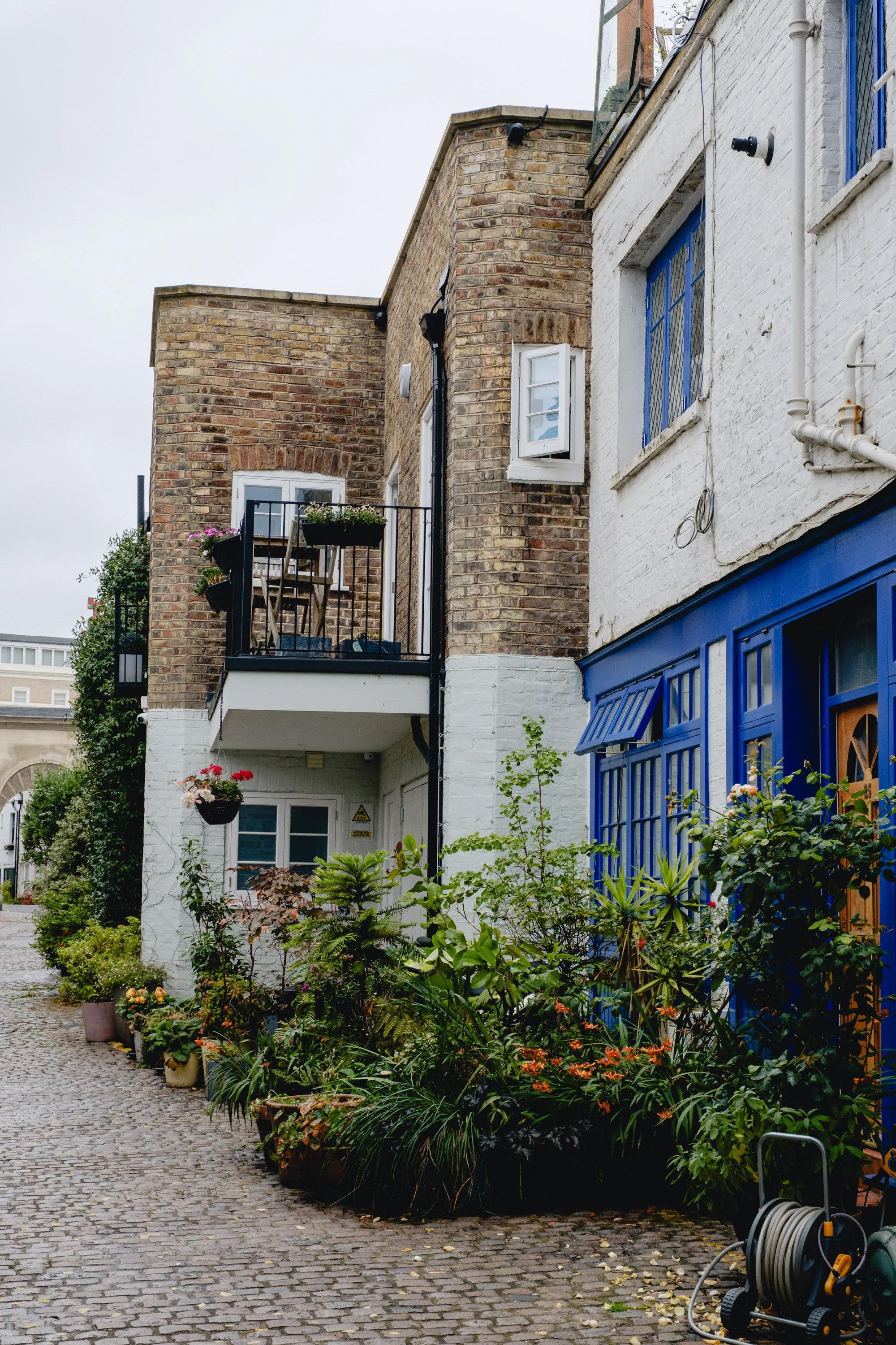 A cobblestone street with potted plants and bushes in front of colorful vintage buildings, one with white and blue exterior, in a city alley.