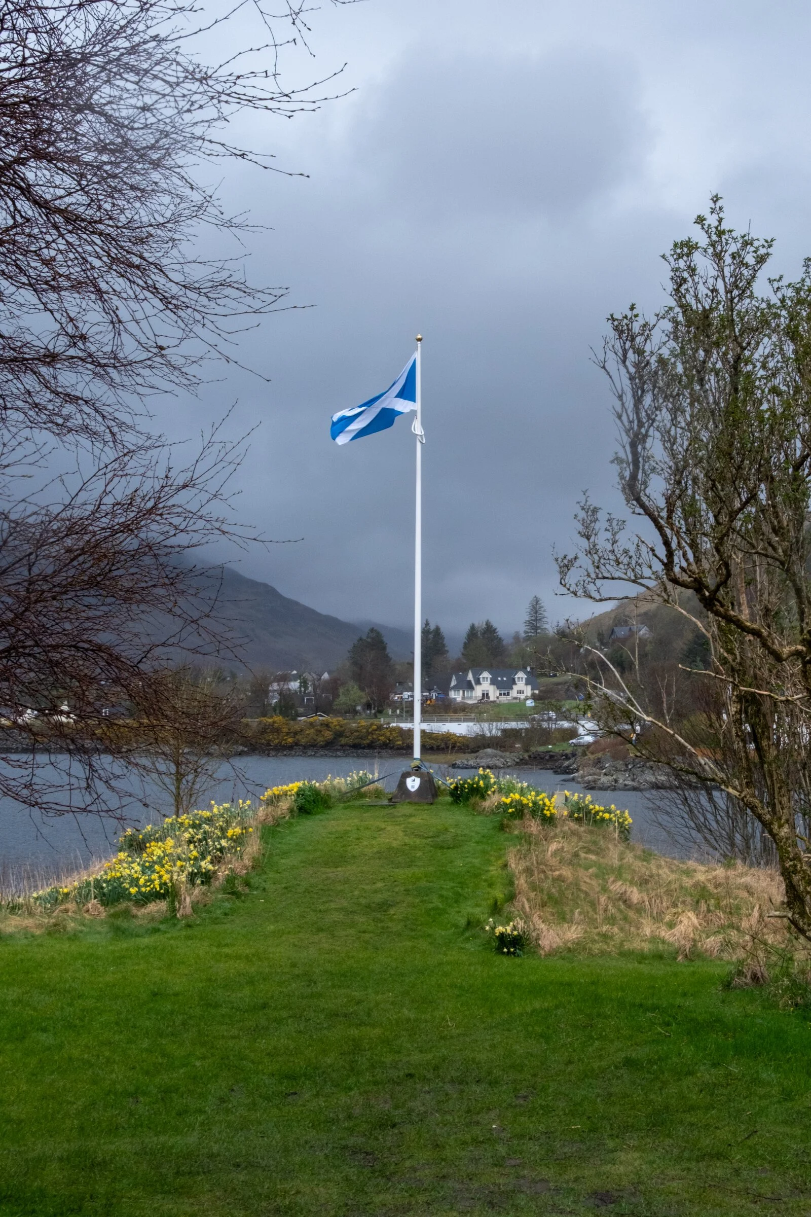 Scotland's Saltire flag flies over a Highland loch, daffodils blooming below