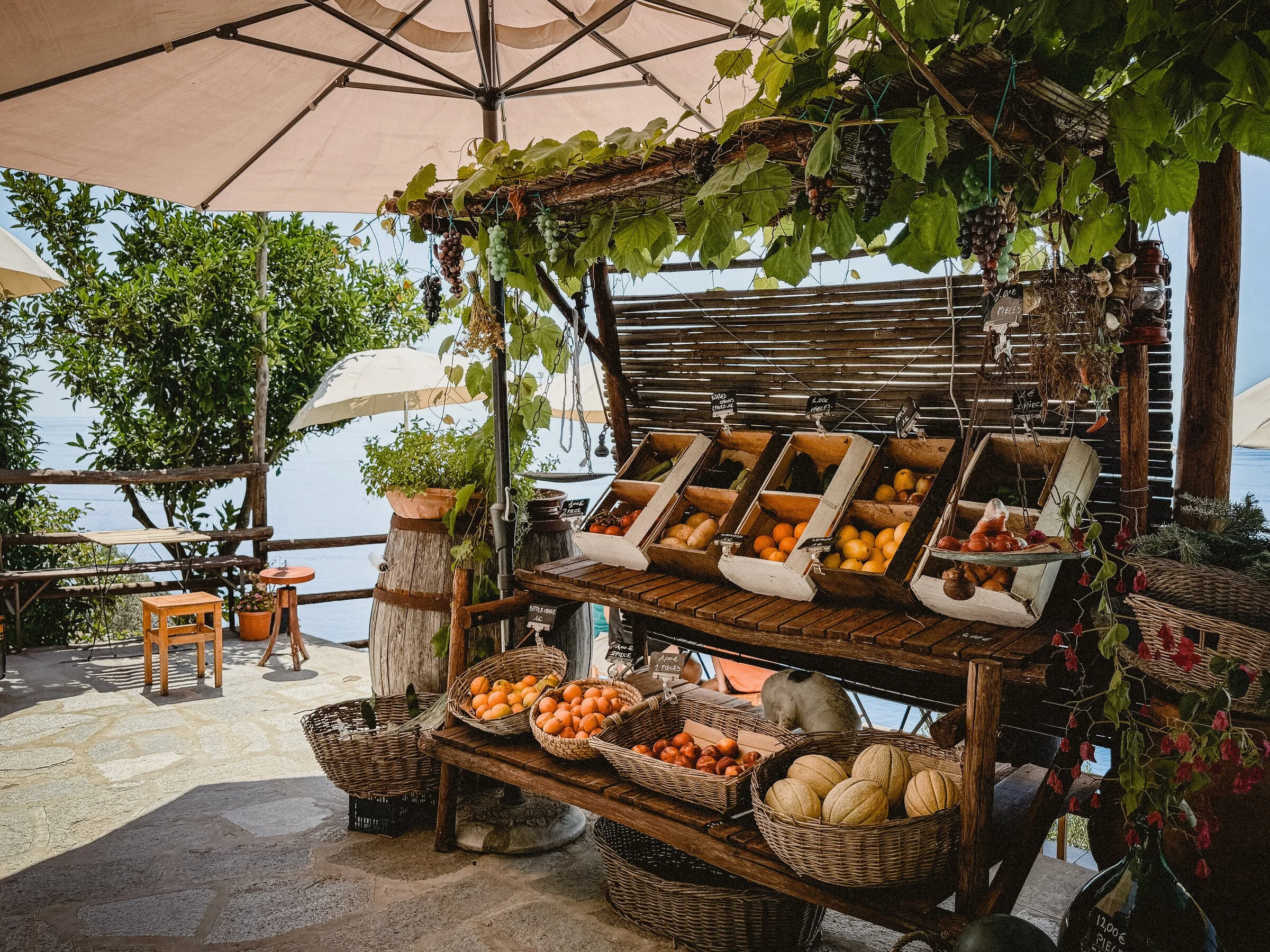 A farm stand loaded with fruit and vegetables under a grapevine trellis, the sea visible beyond an umbrella
