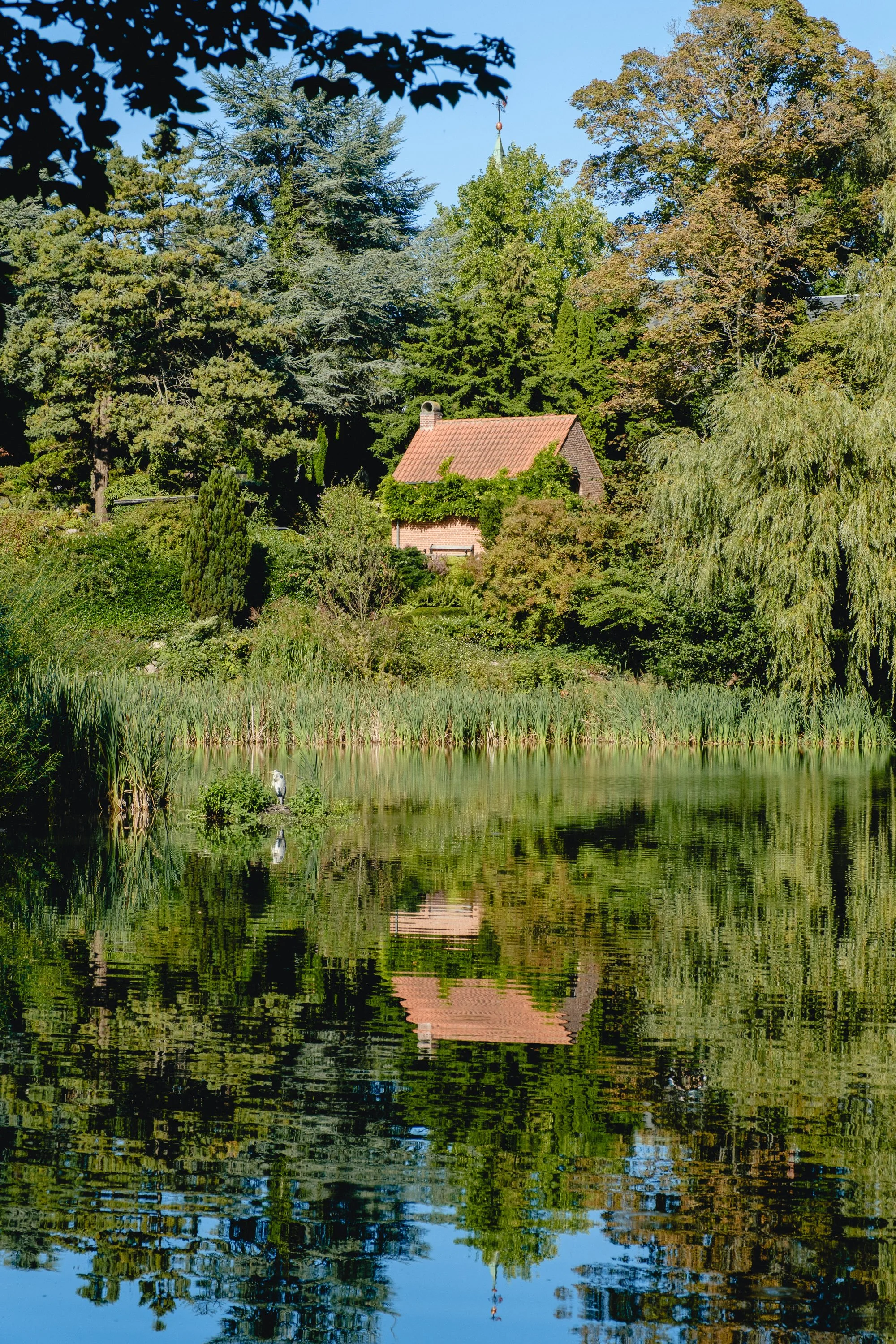 A small house with a red roof is surrounded by lush green trees and reflected in a calm lake, with a bird standing near the water's edge.