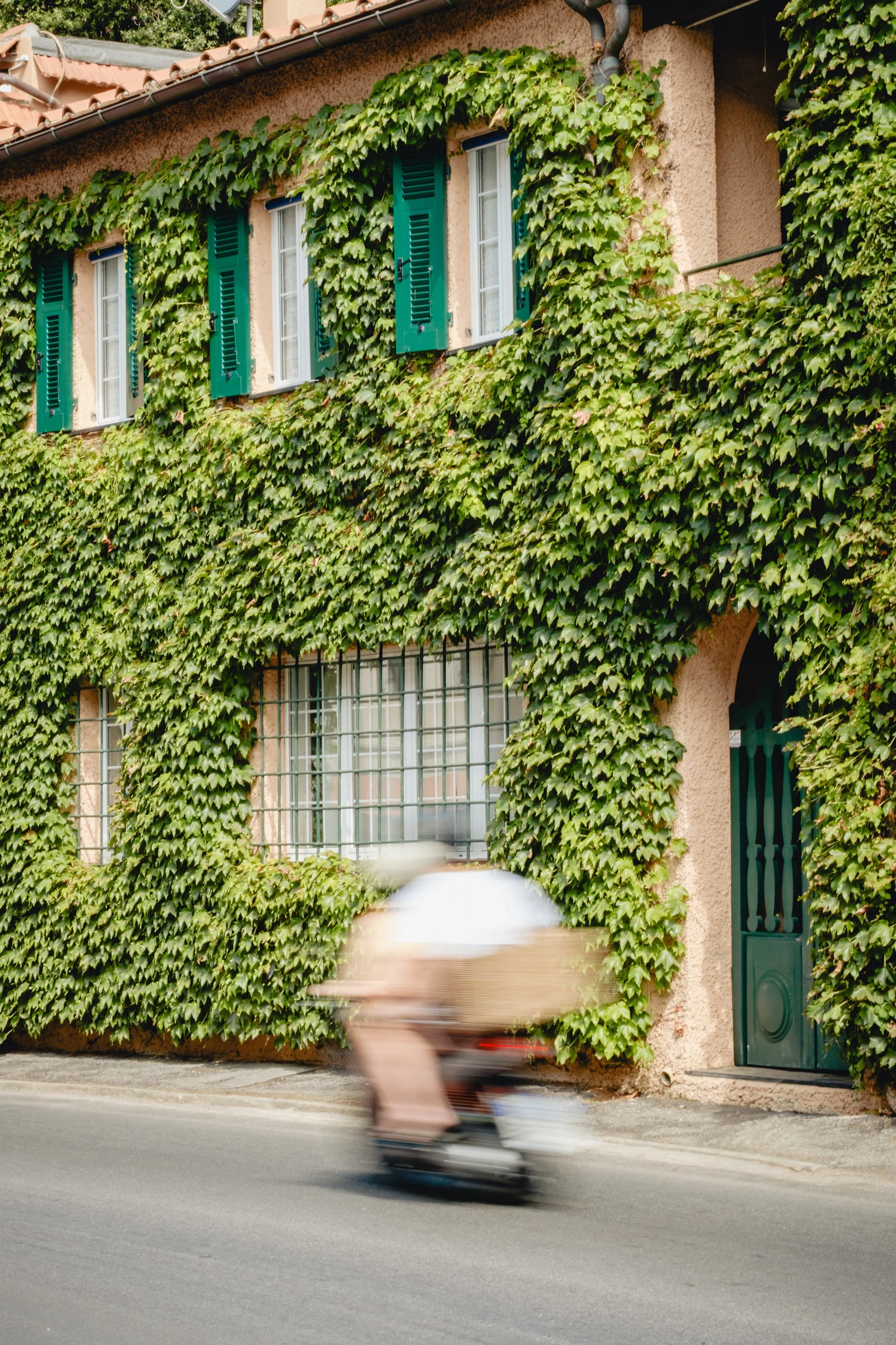 A motion-blurred scooter rider on a street in front of a house covered in green ivy, with teal window shutters and a teal door.