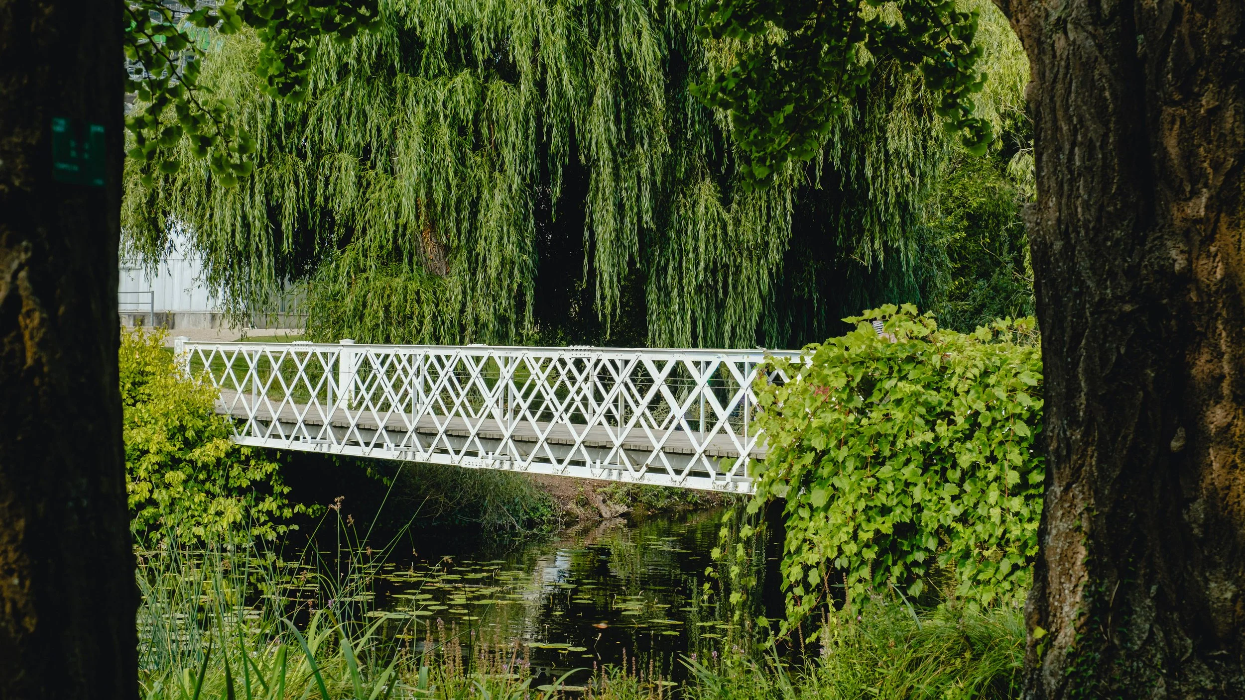 White bridge over a small river, surrounded by green trees and bushes.