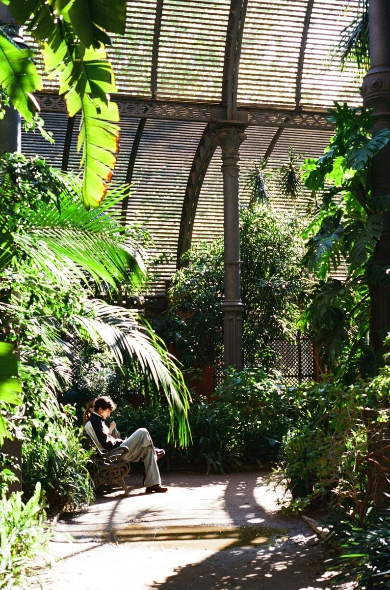 A woman reads on a bench inside the sunlit Umbracle greenhouse, palms arching overhead