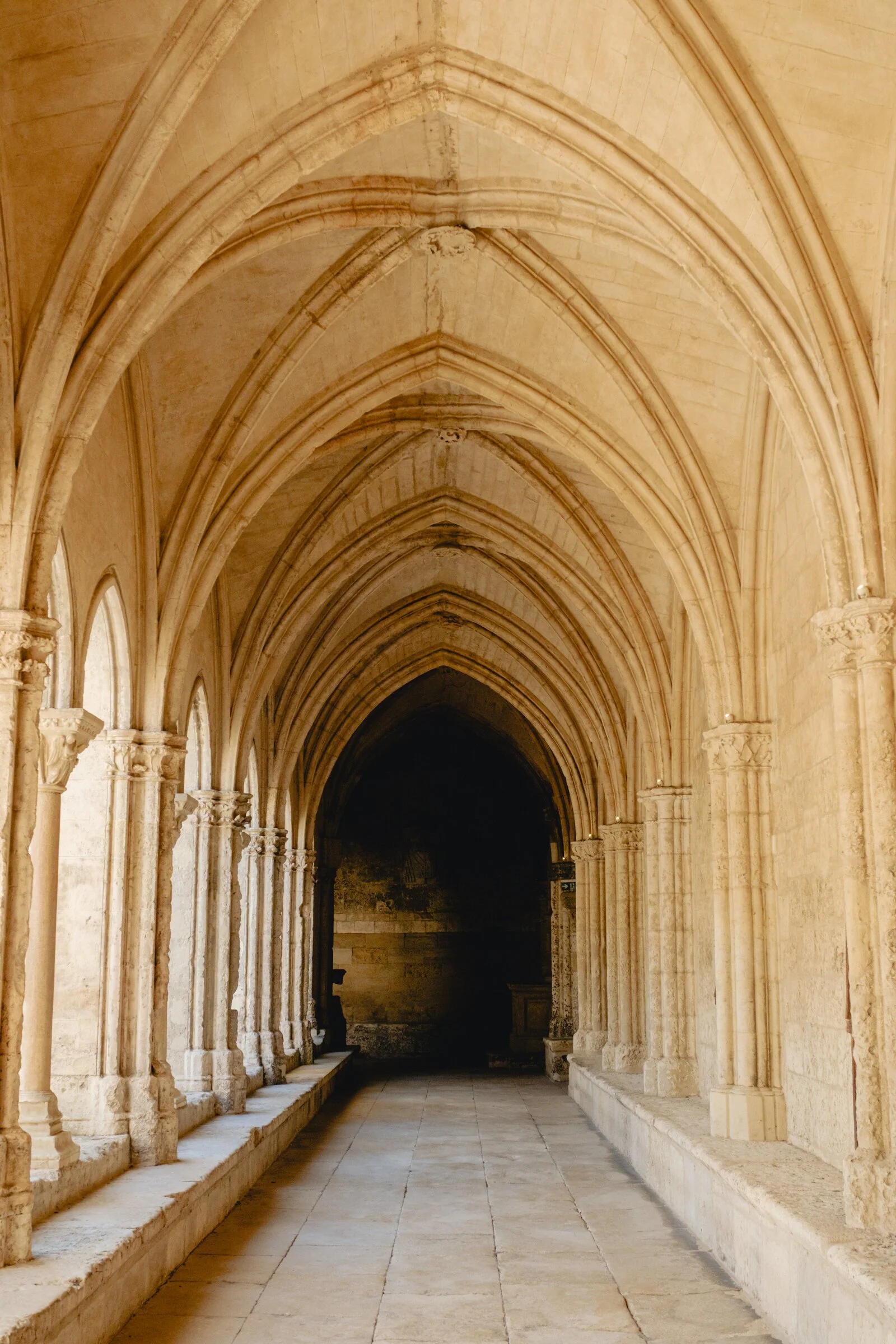 Soaring ribbed Gothic vaults arch overhead in the cloister of Saint-Trophime, Arles