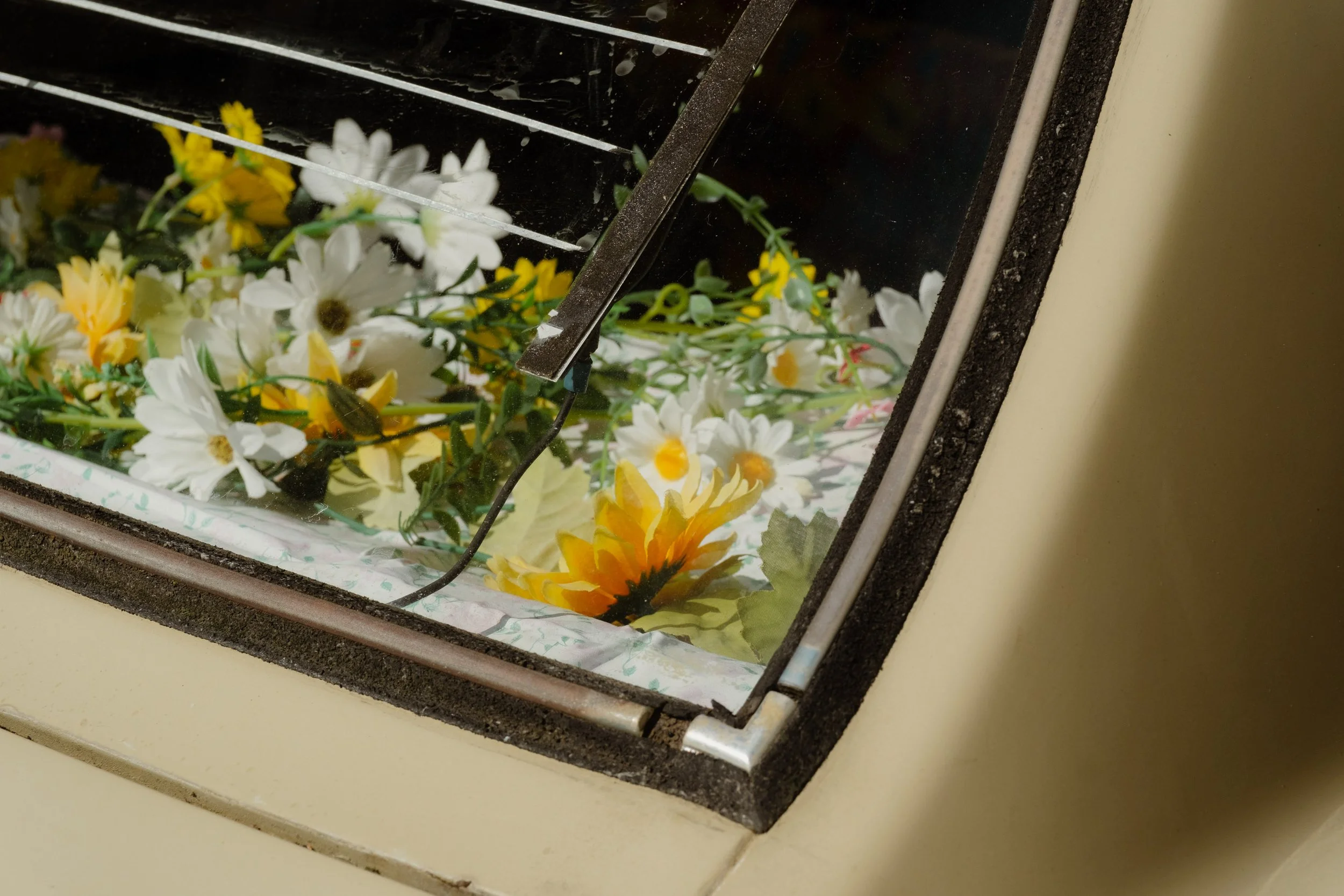 A collection of artificial white and yellow flowers in a glass display case.
