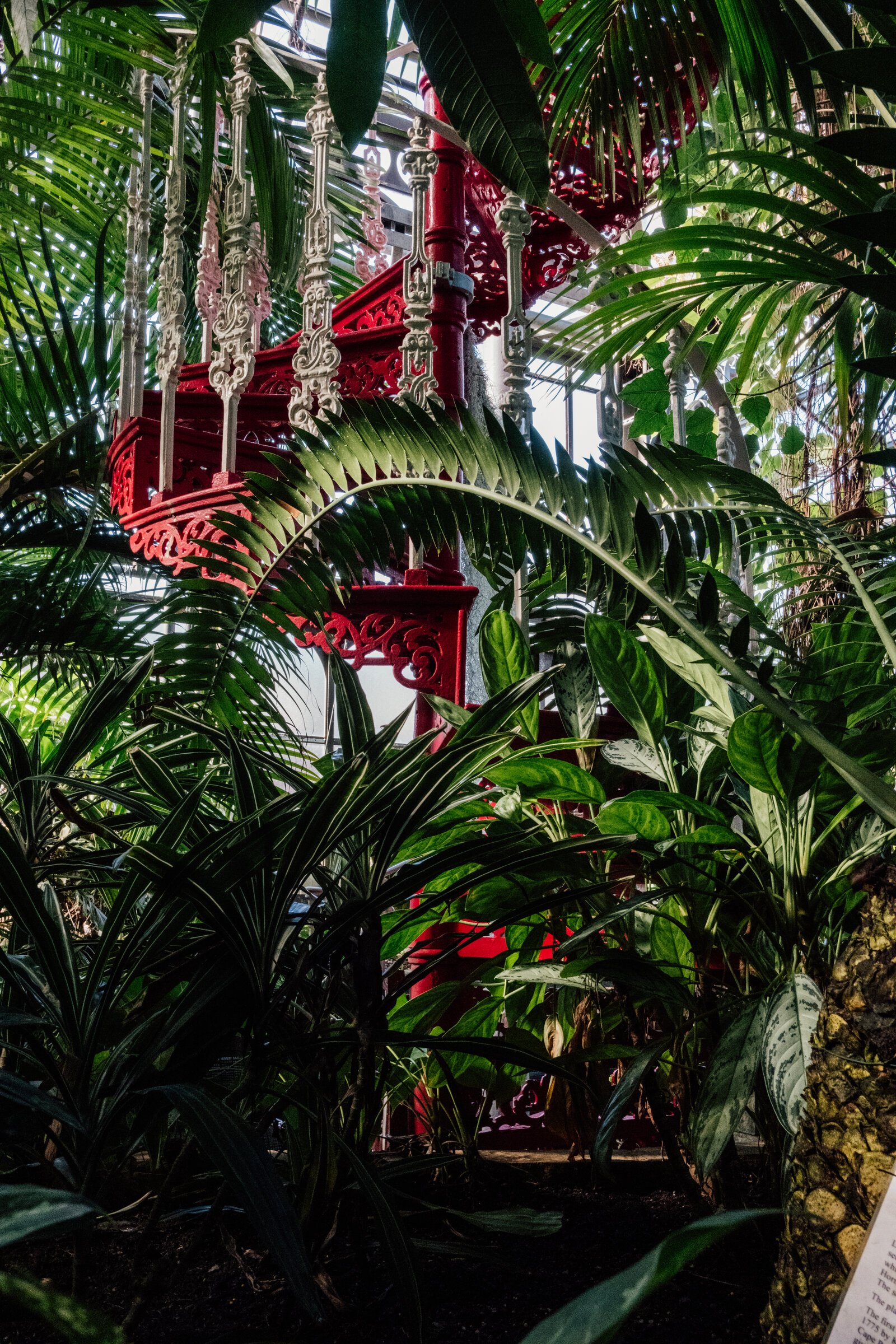 A red wrought-iron spiral staircase winds upward inside a Victorian glasshouse