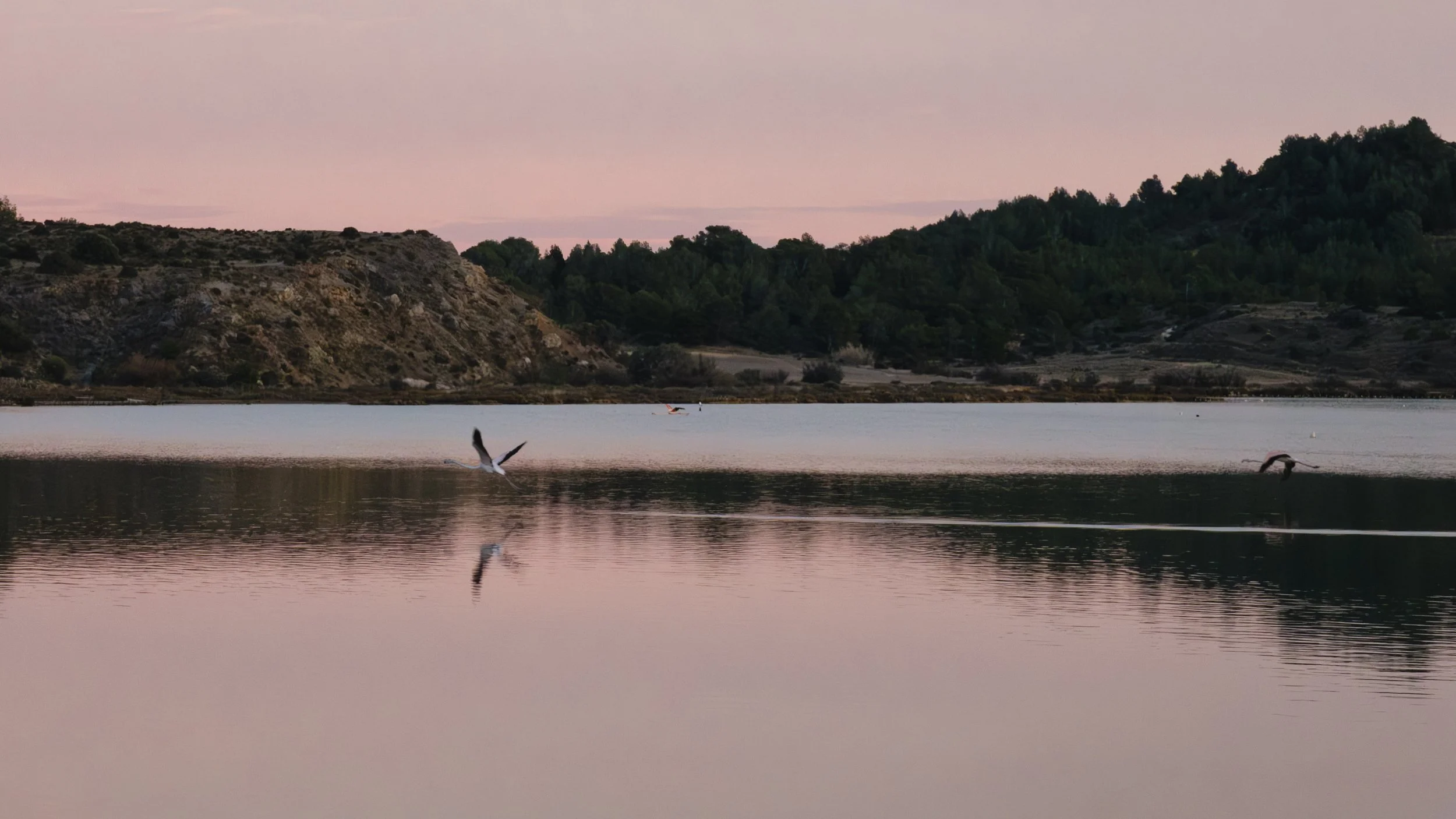 A peaceful lake at dusk with a bird flying close to the water, mountain hills in the background, and the sky with a pink hue.