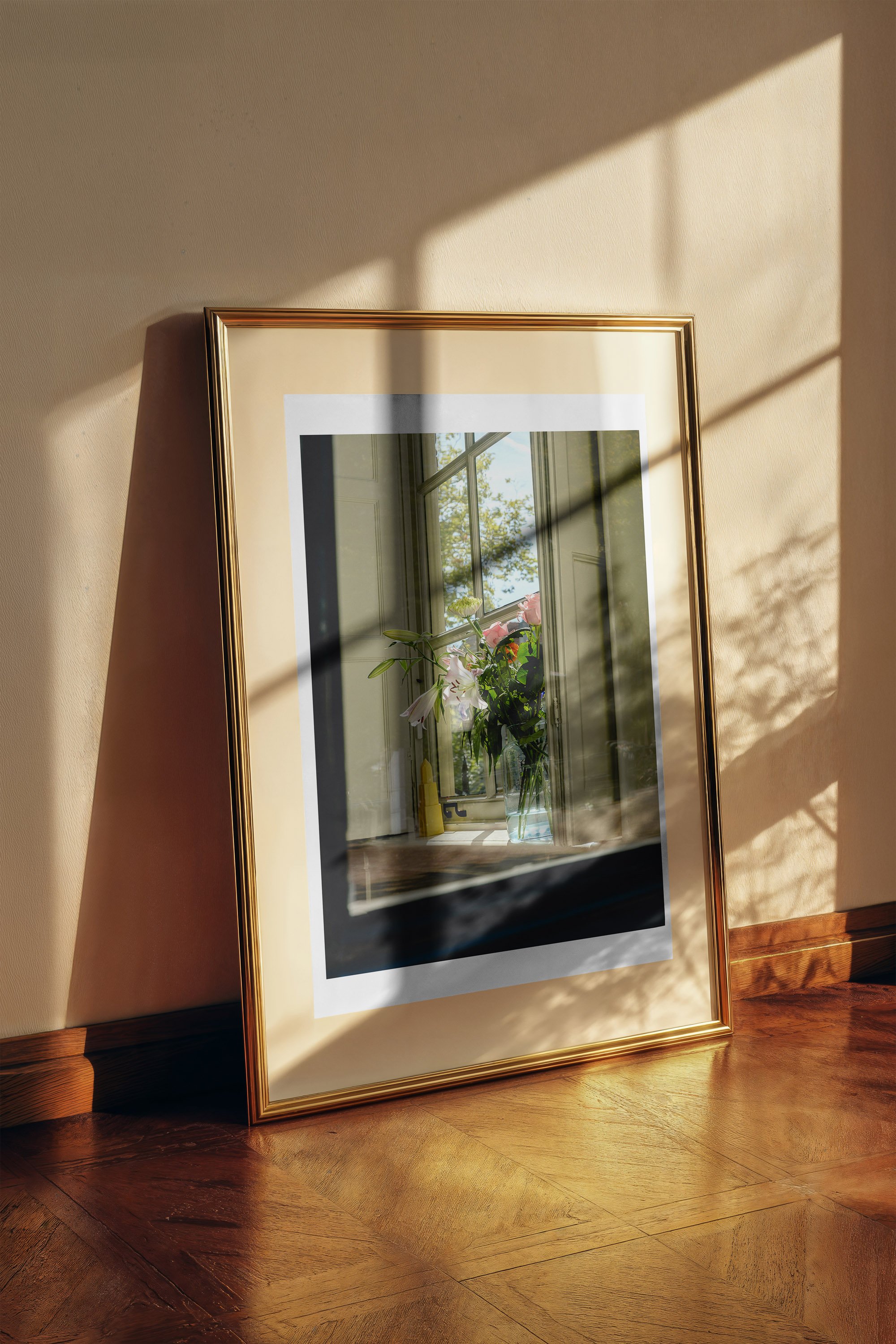 Backlit Blooms fine art print framed and displayed on a wall - fine art travel photography by Frames by Marina