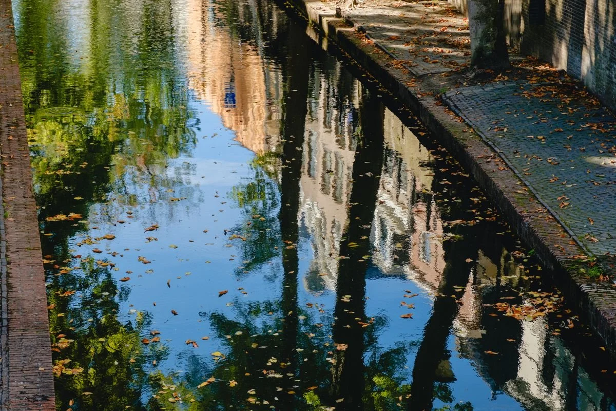 Reflections of canal houses ripple in the water among floating leaves