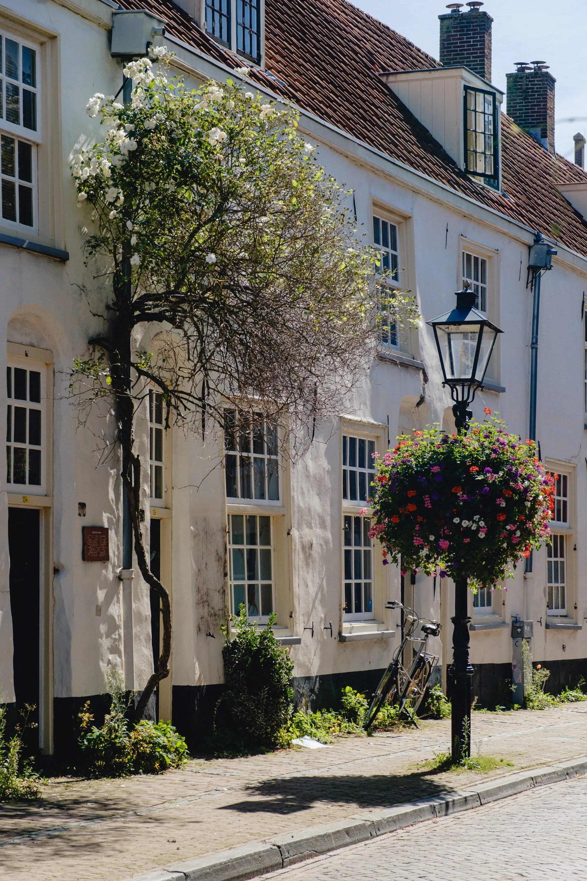 A street view featuring a white building with multiple windows, a vintage street lamp with a hanging flower basket, a leafless tree, a bicycle leaning against the building, and cobblestone pavement.