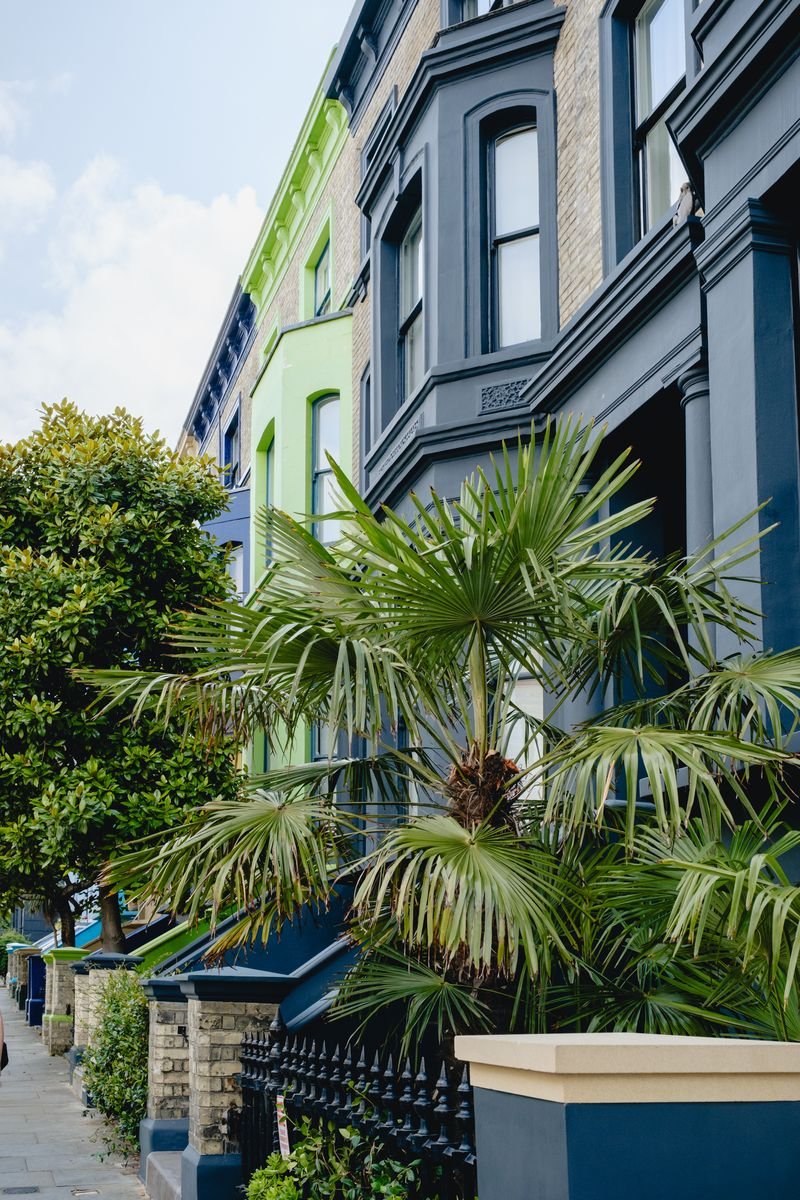 A palm tree stands against Notting Hill's candy-colored terraced houses
