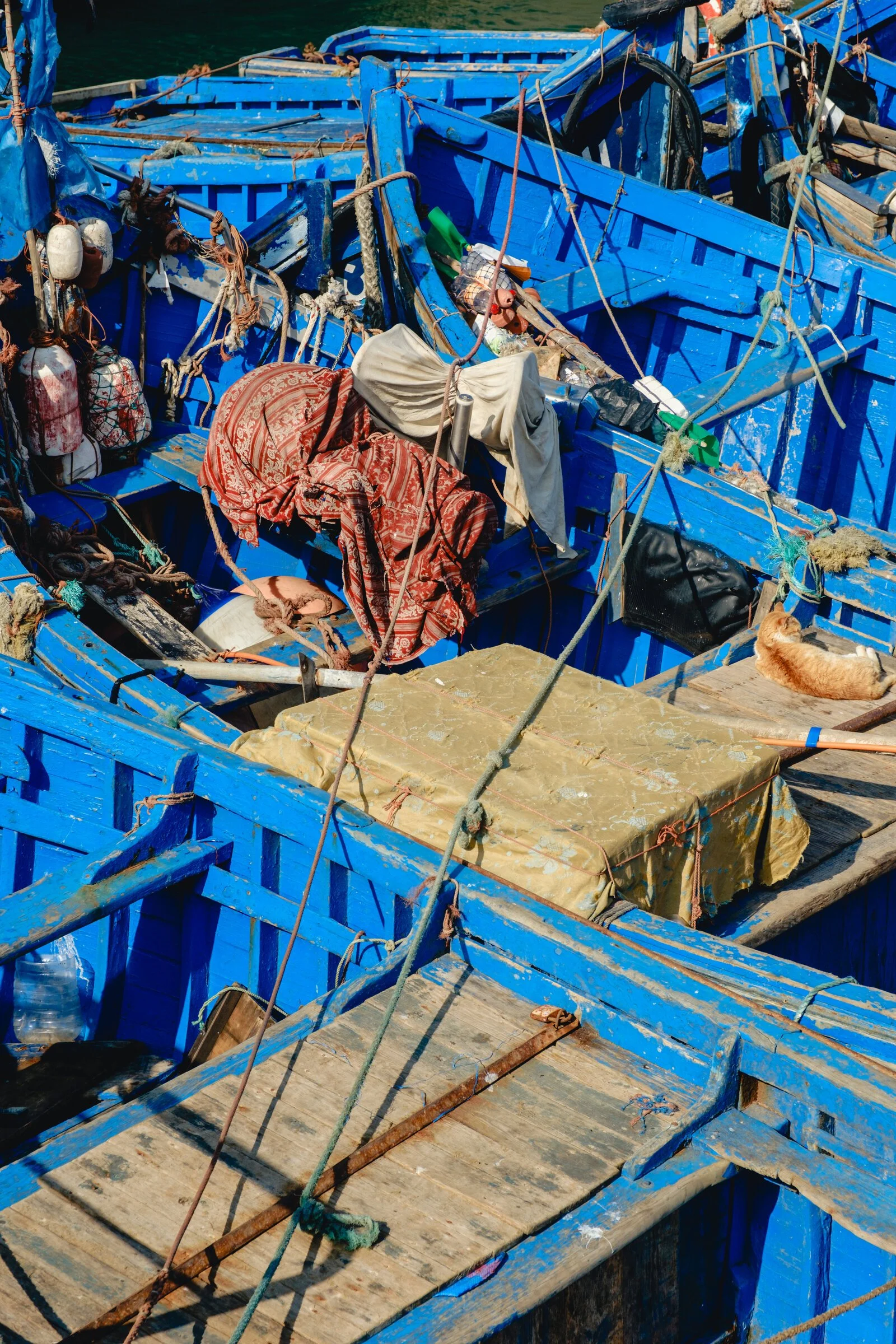 A cat rests curled among rope and canvas on the deck of a blue fishing boat