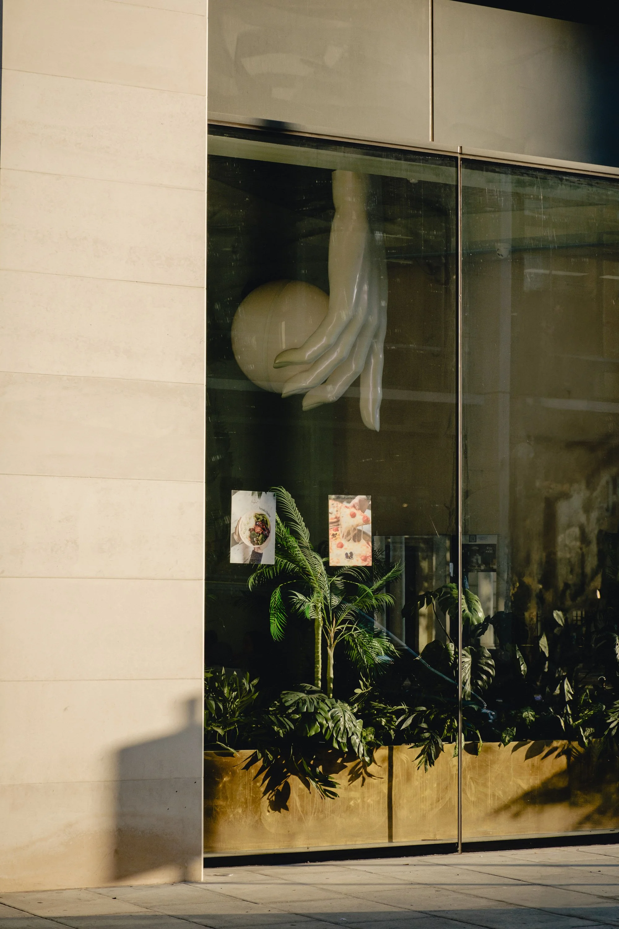 Store window display featuring a sculpture of four legs resting on a round object, with potted plants and promotional pictures inside the store.