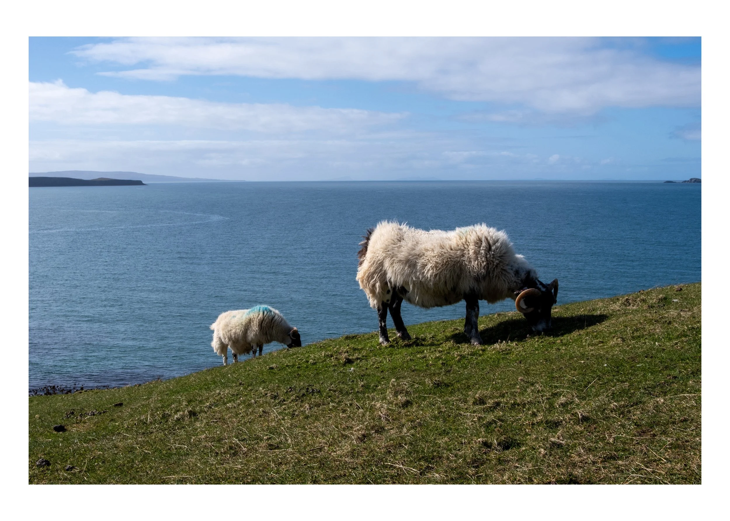 Highland Shore