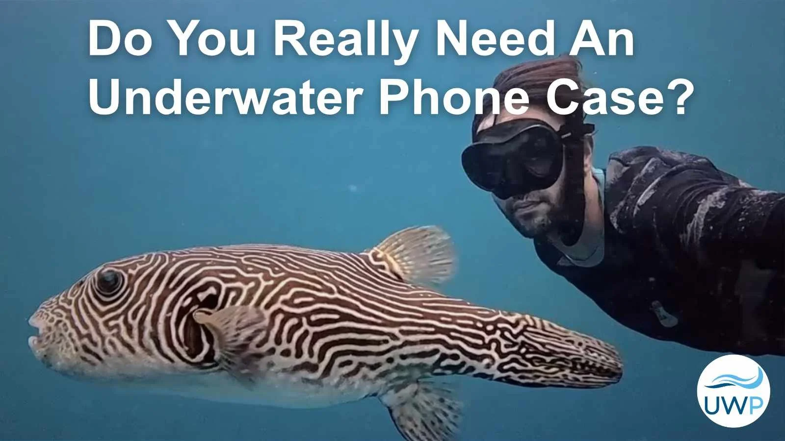 Do You Need An Underwater Phone Case? Here Are 3 Reasons Why