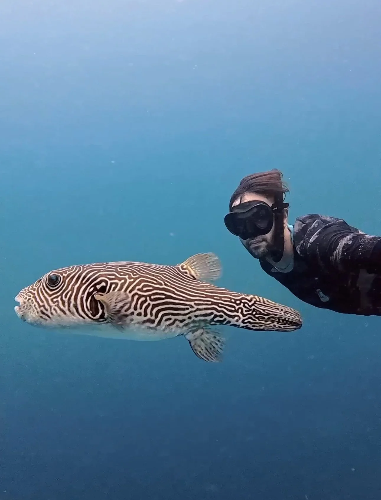 It is not that hard to create content that stands out from the average pretty underwater photo. You just need the right tools.