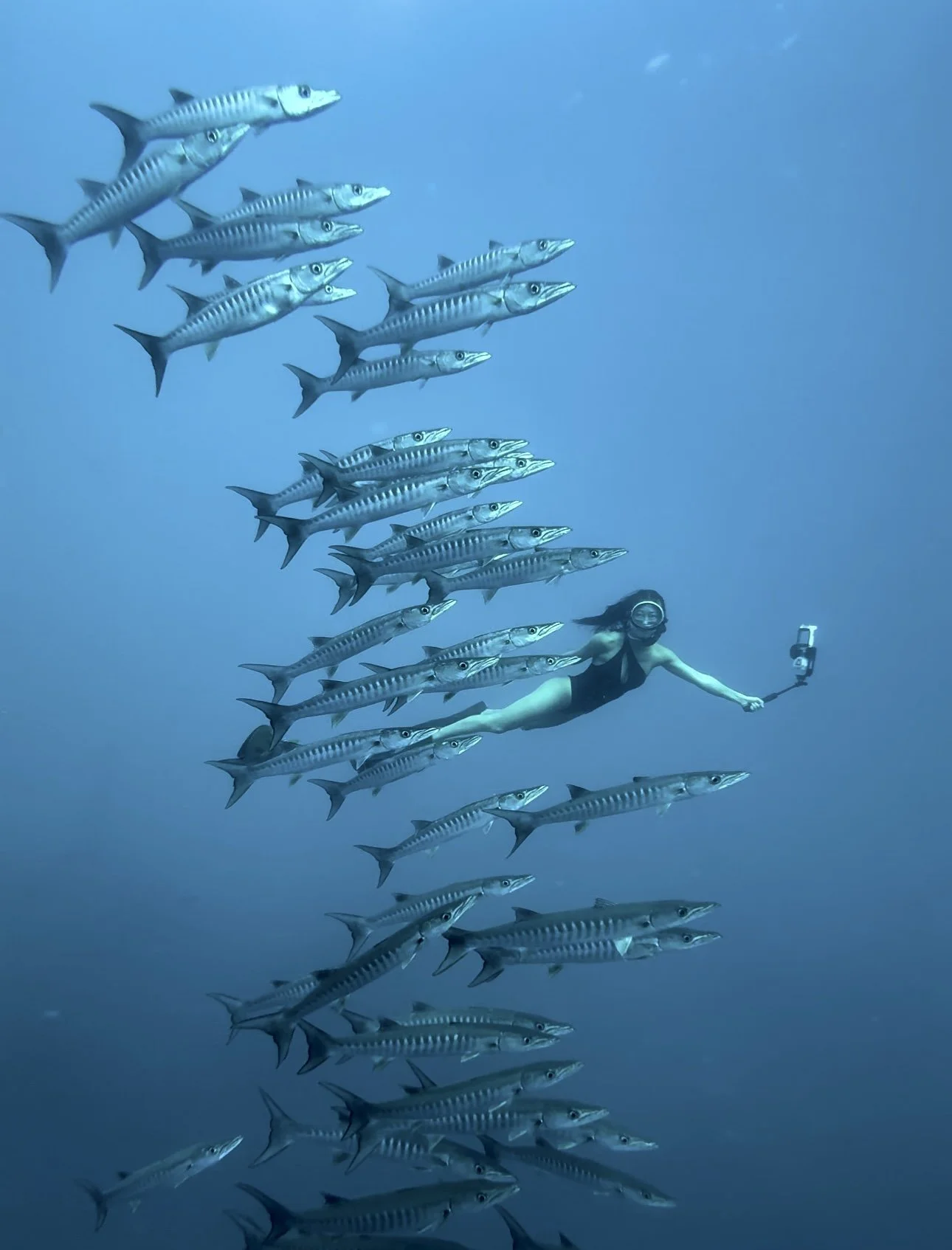 Even if you go for a quick dive while snorkeling, your smartphone is safe. Screenshot from a video taken with the iPhone 15 Pro Max inside the DIVEVOLK case.