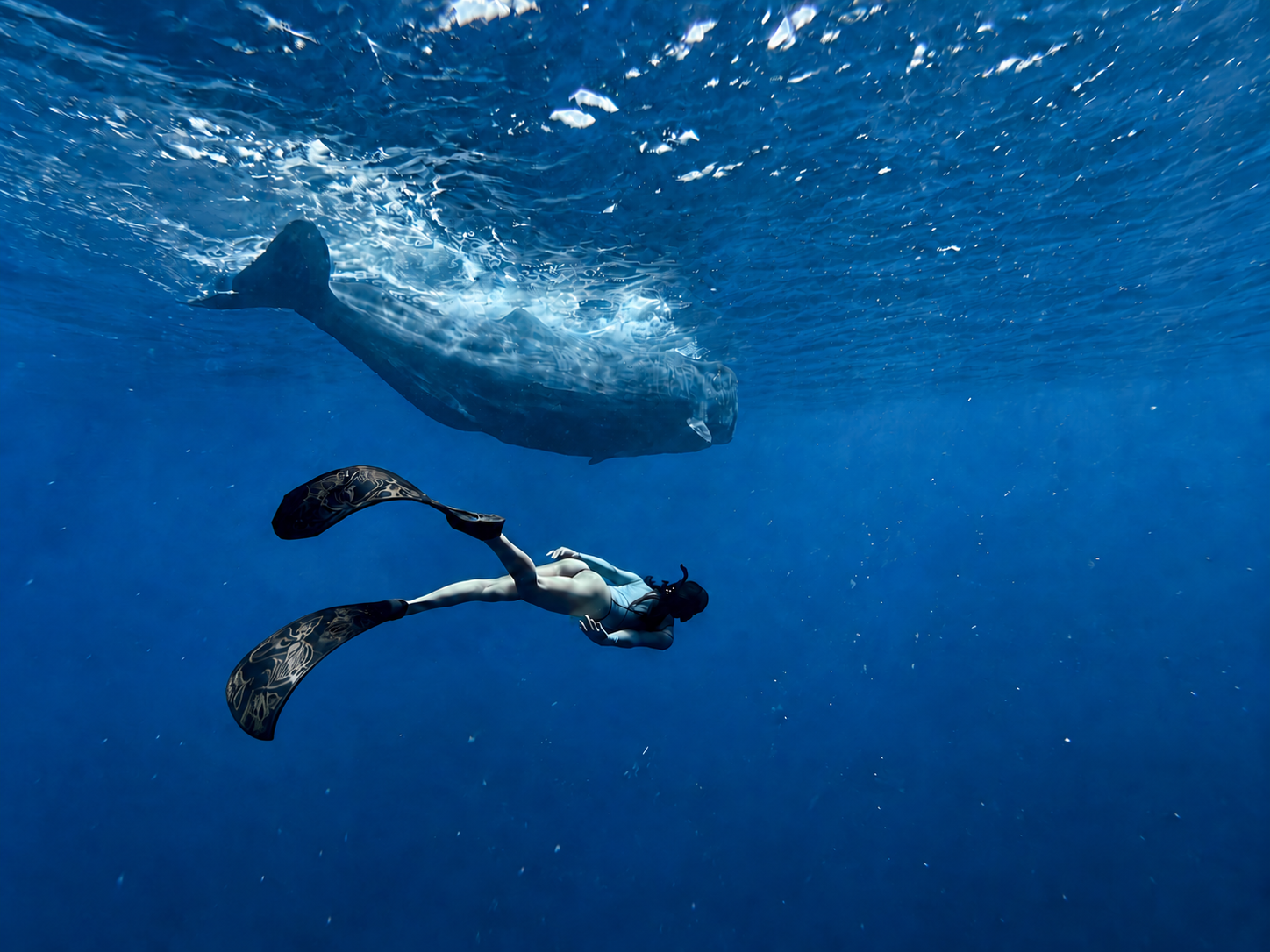Freediver with two curved black-and-gold fins swimming below a whale