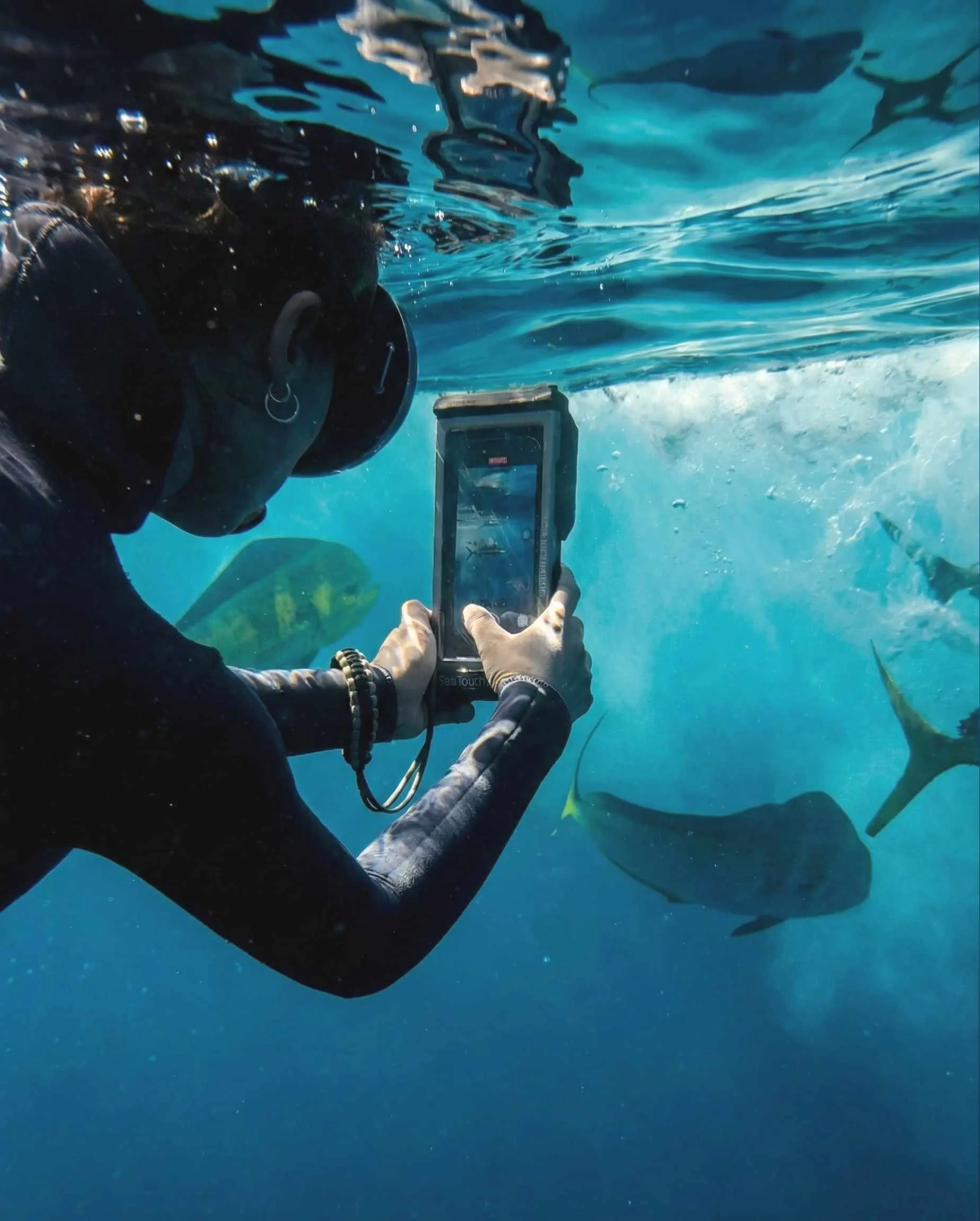 Different environments require different tools. In the hectic and fast-paced atmosphere of the Mexican sardine run, we got the best shots with this handy device.