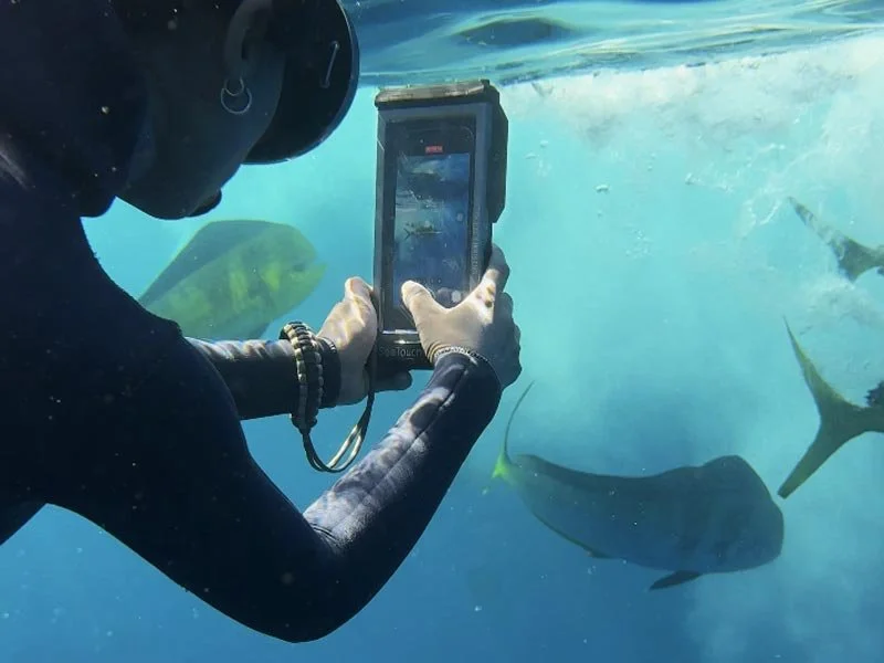 Diver using a Divevolk phone housing to film marine life underwater