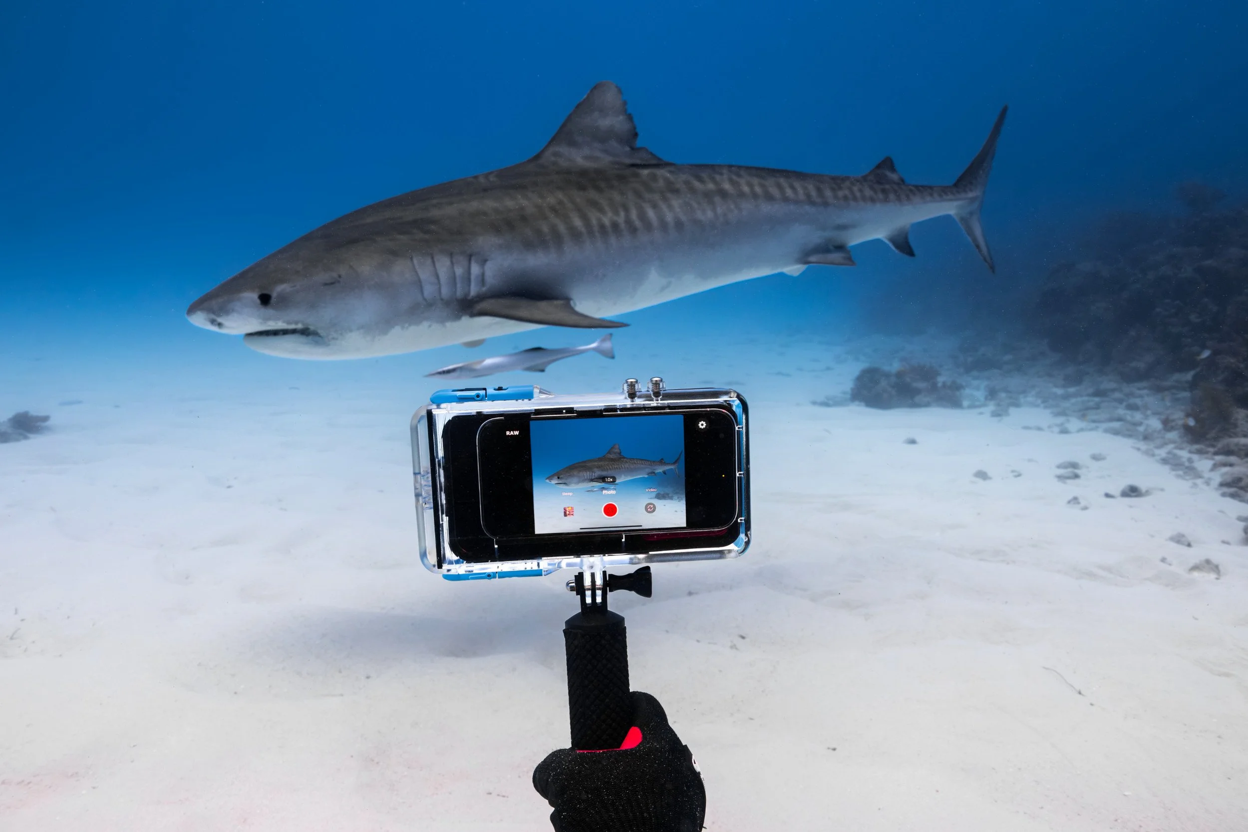 ProShot Dive Case compatible with iPhone 18 Pro and iPhone 18 Pro Max