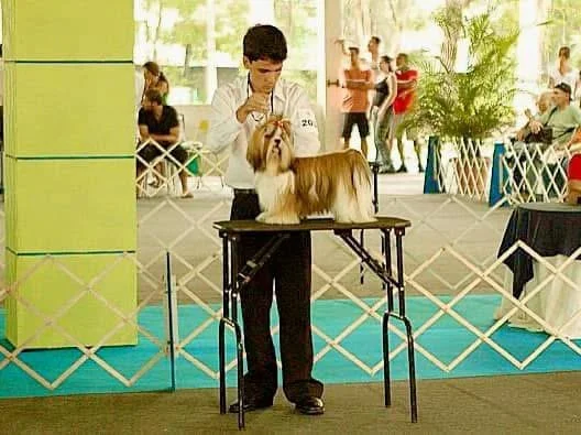 Minha primeira exposição em 2007.