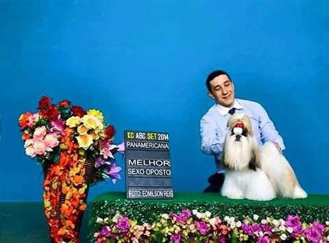 Jovem Campeão Ultra's Just Playin' Games (🇺🇸)