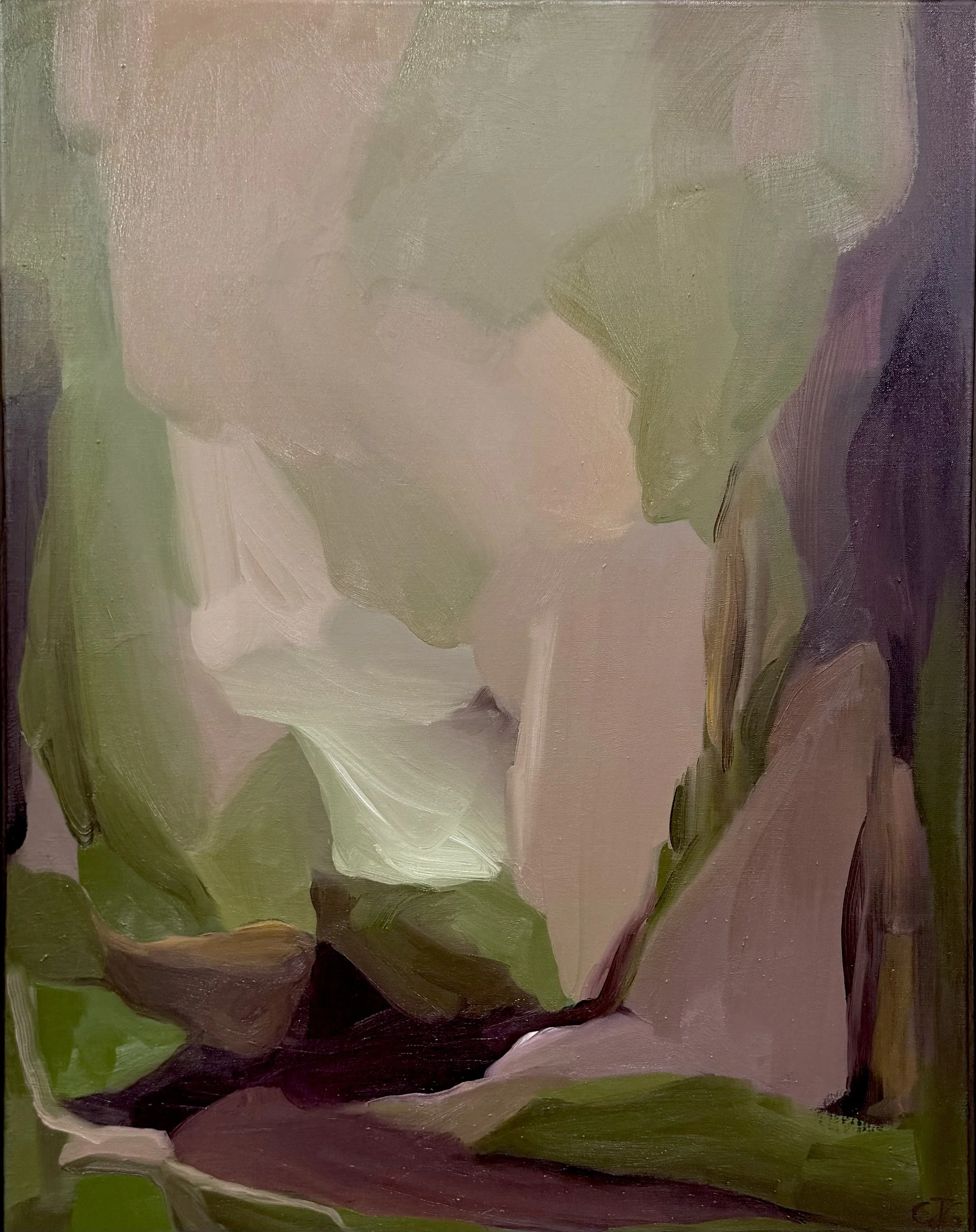 IMG_7889.jpeg