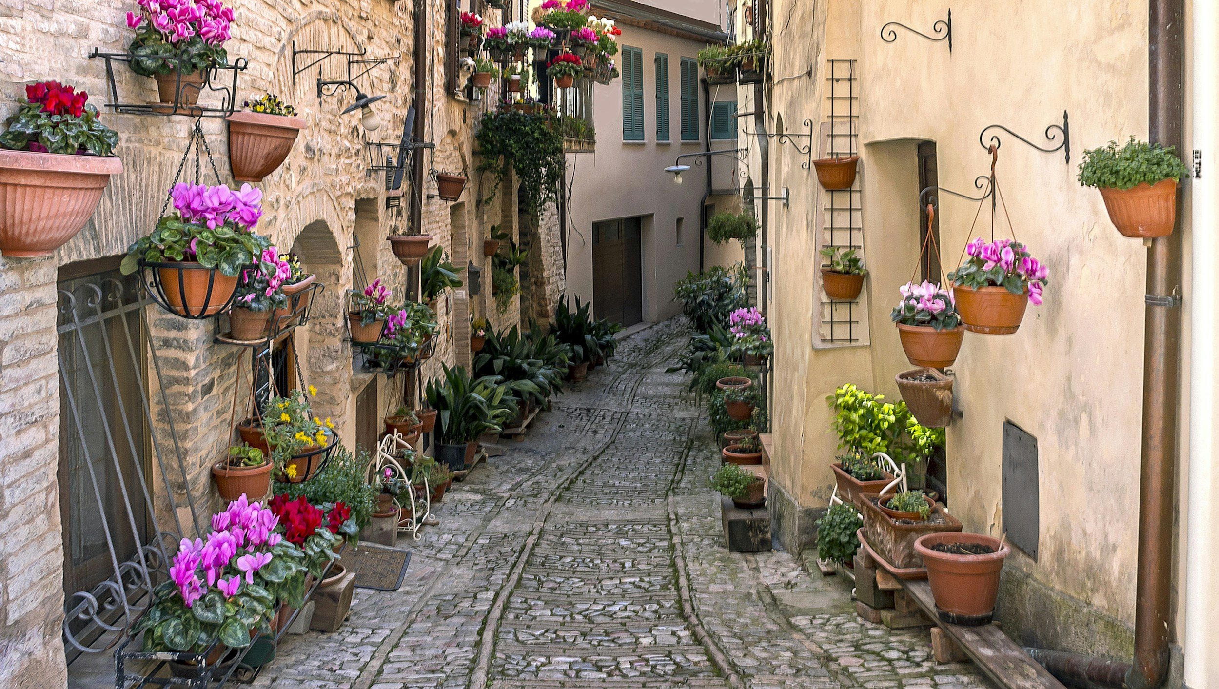 A narrow cobblestone alley lined with potted flowering plants on both sides, with some hanging on the walls, in an old European village.
